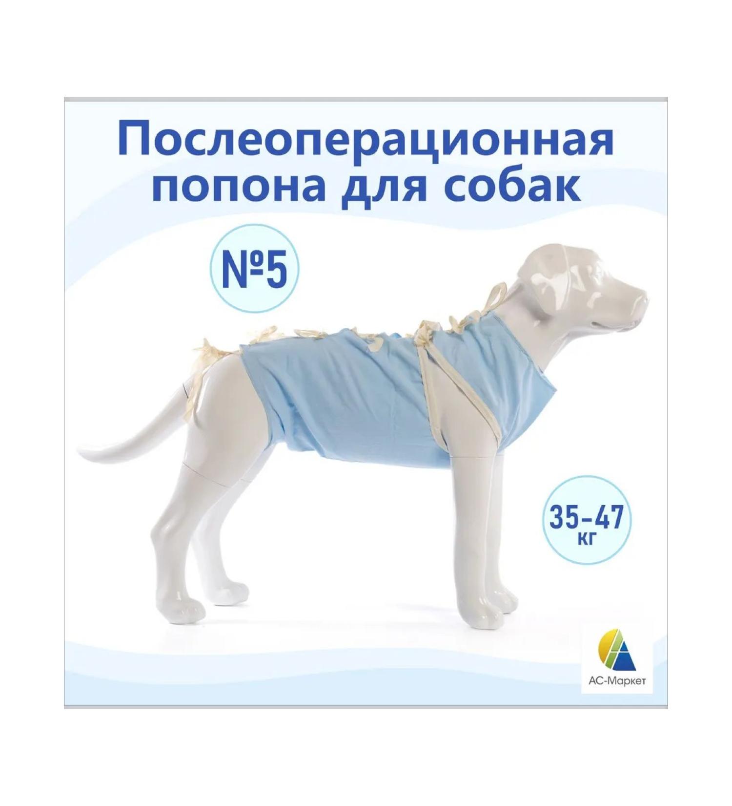 Popon postoperative No. 5 for dogs (as-market) - Buy Online on GoSupps.com