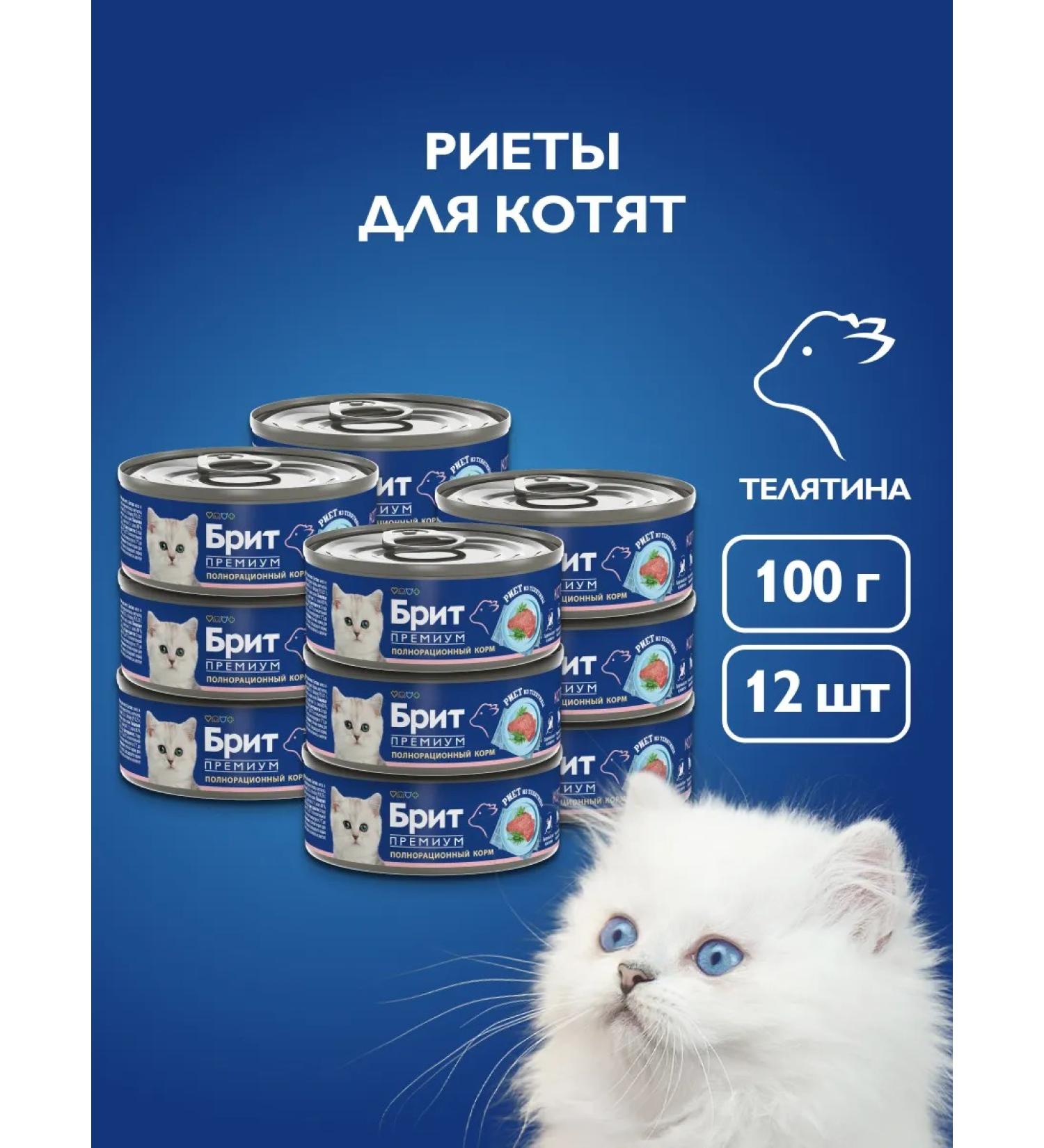 Brit Wet food for cats veal Rittes 100g x 12 - Buy Online on GoSupps.com