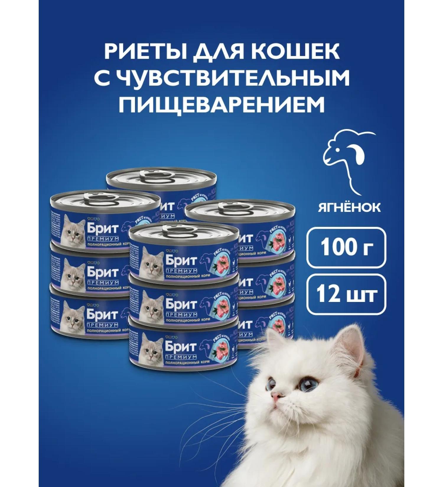 Brit Wet food for cats rang from lamb 100g x 12 - Buy Online on GoSupps.com