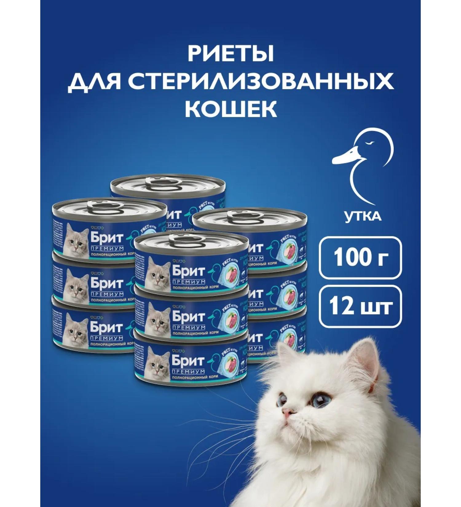 Brit Wet food for cats a duck rayit 100g x 12 - Buy Online on GoSupps.com