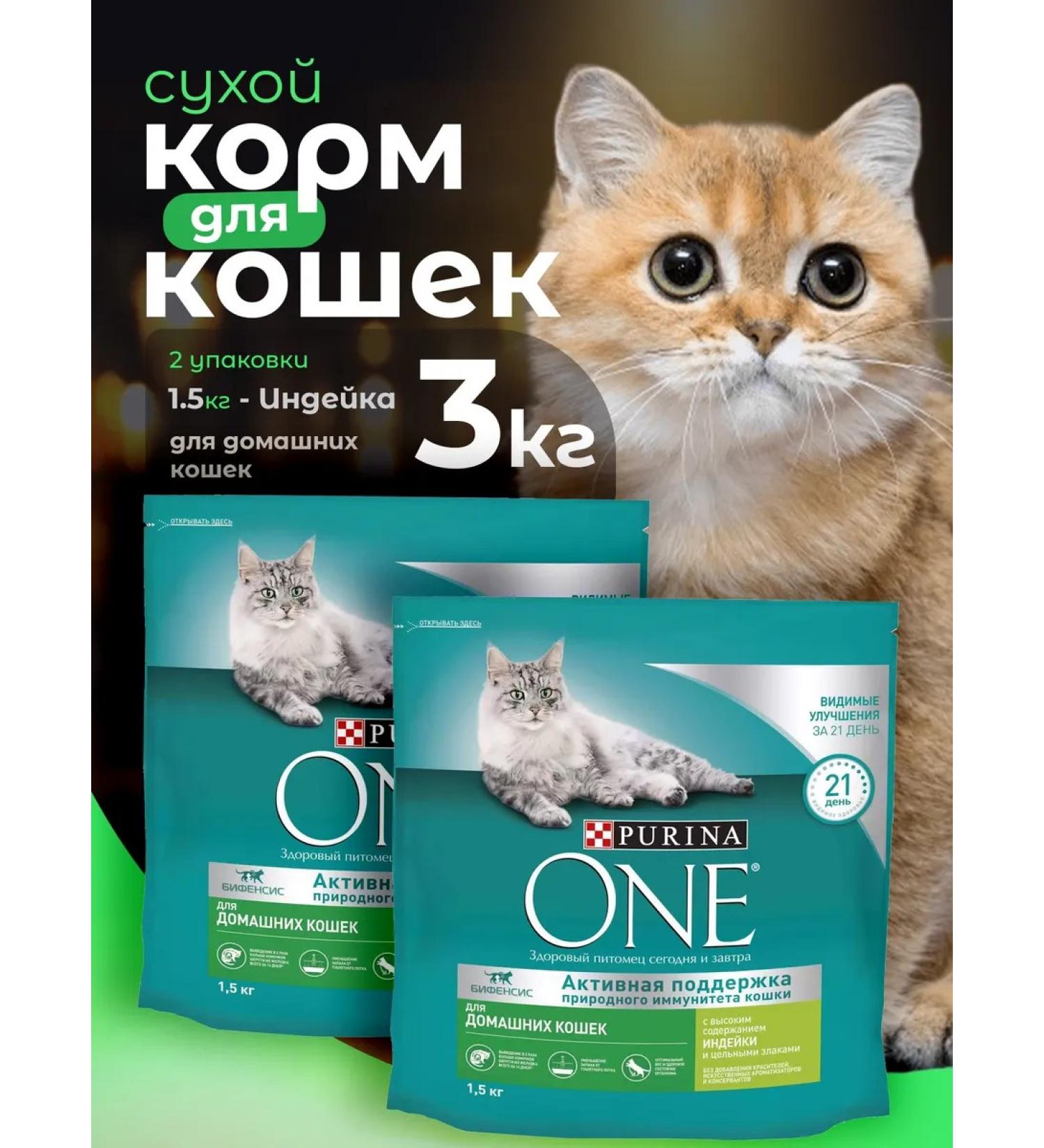PURINA ONE Dry food for cats with turkey 1.5 kg*2 pcs - Buy Online on GoSupps.com