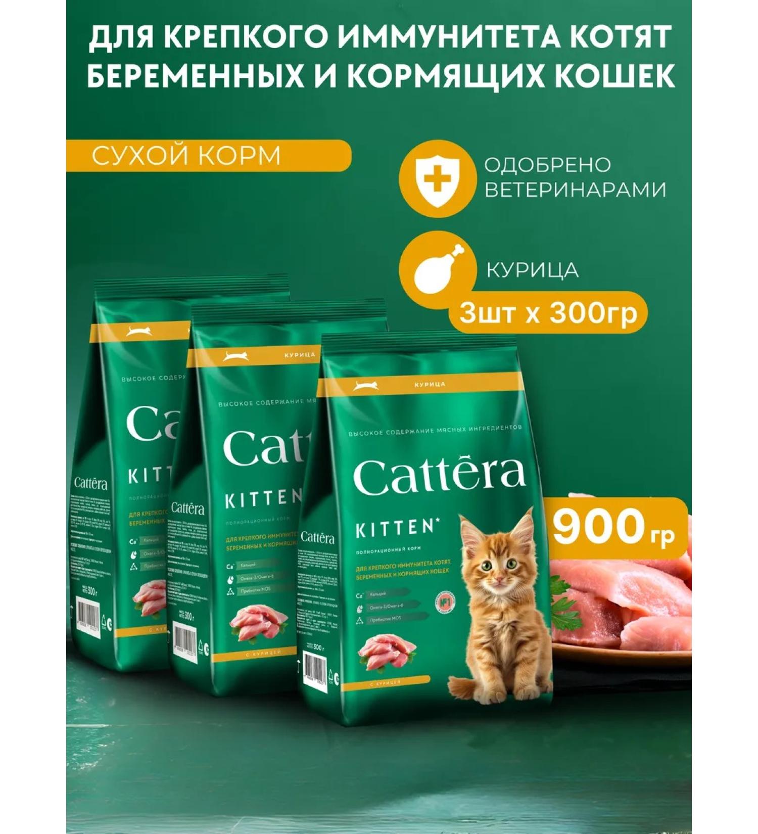 Cattera Dry food for kittens with chicken - Buy Online on GoSupps.com