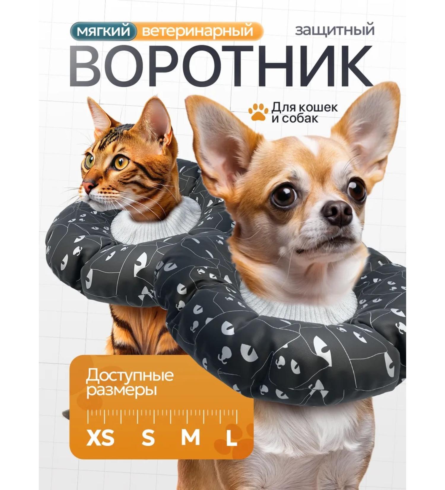 MedTorg Protective collar for cats and dogs veterinary - Buy Online on GoSupps.com