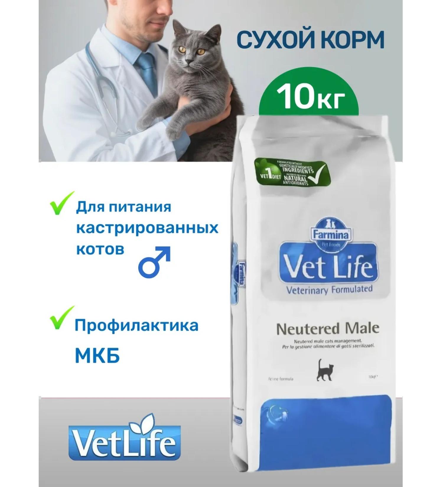 Farmina Feed for castrated cats dry 10kg - Buy Online on GoSupps.com