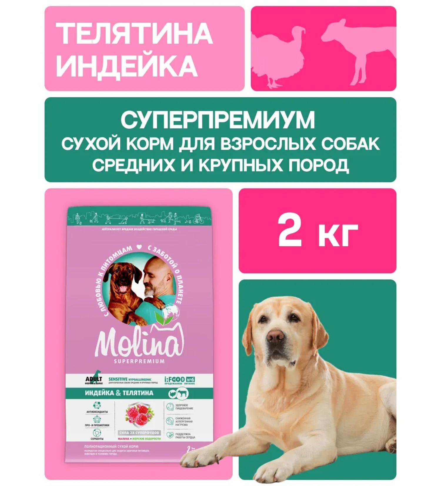 MOLINA Dry food for dogs with turkey and veal 2 kg - Buy Online on GoSupps.com