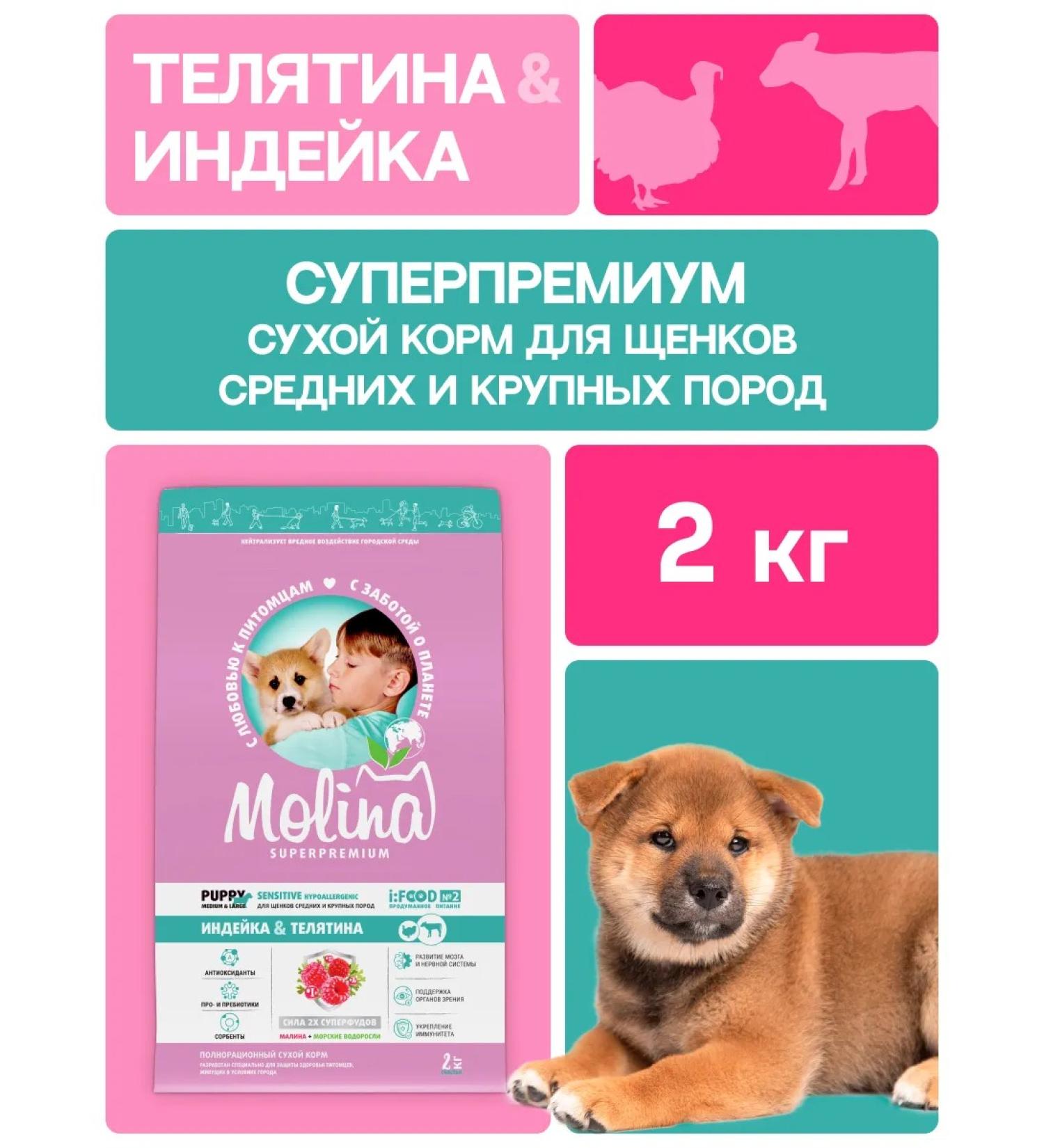 MOLINA Dry food for puppies with turkey and veal 2 kg - Buy Online on GoSupps.com