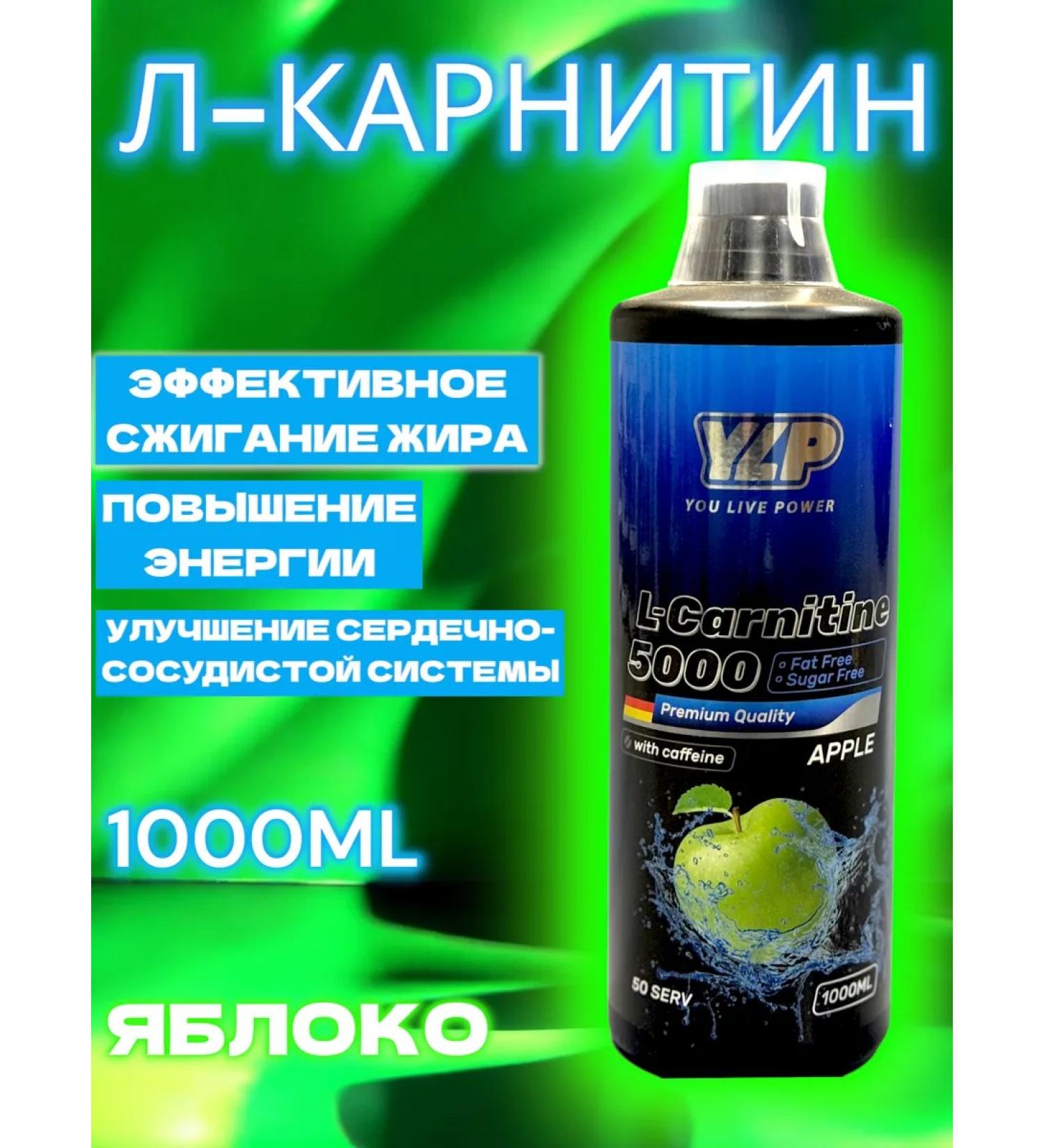 YLP L-Carnitine 5000 Frevator - Buy Online on GoSupps.com