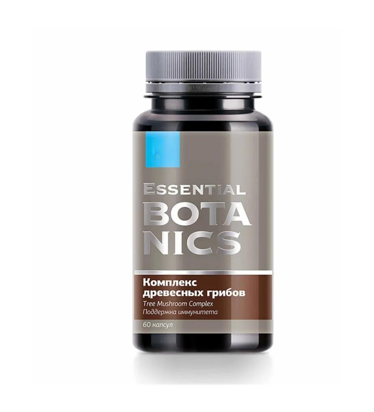 The Power of Siberian Health Complex of wood mushrooms for immunity