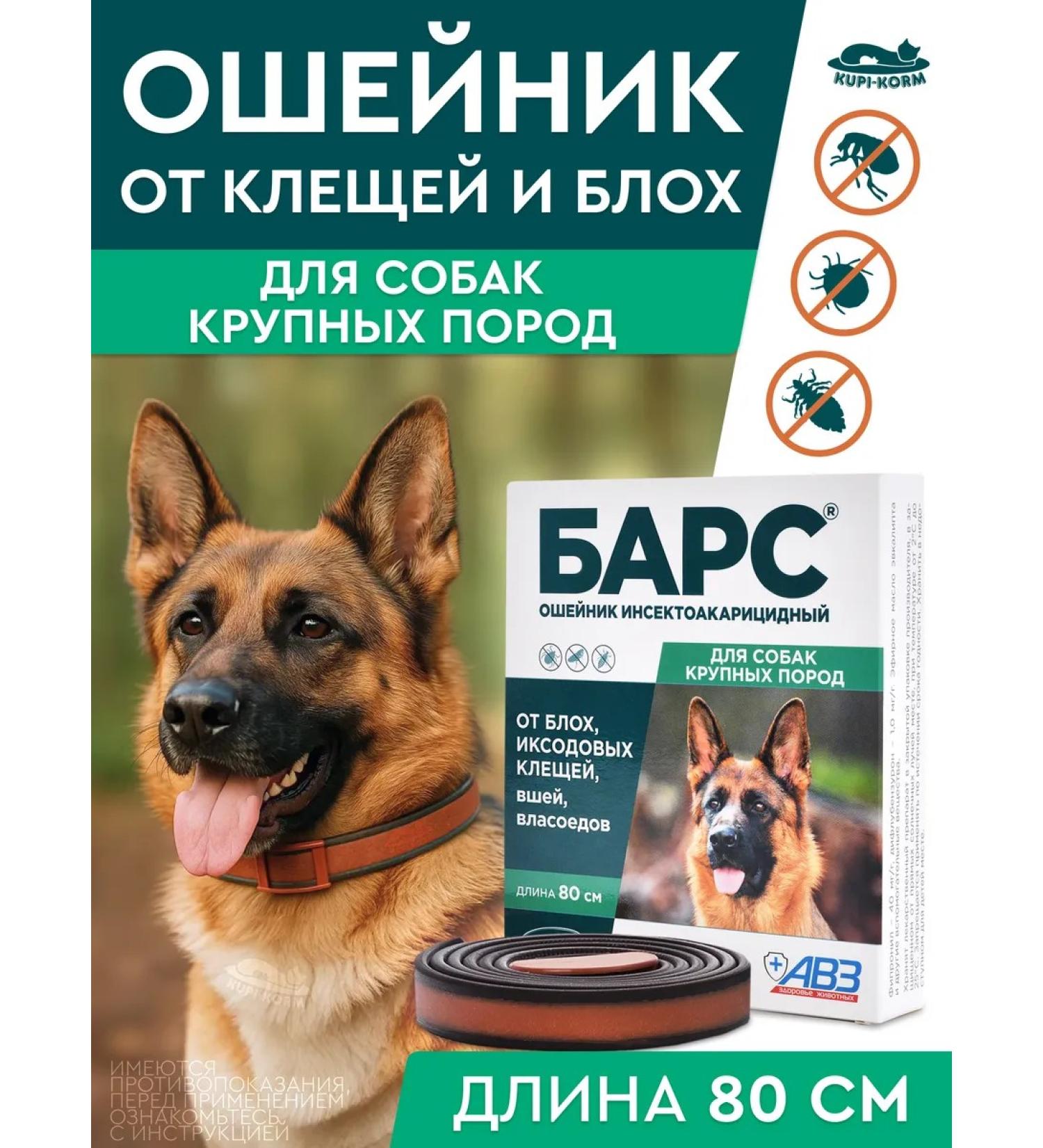 AVZ Barce collar of dogs large. 80cm - Buy Online on GoSupps.com