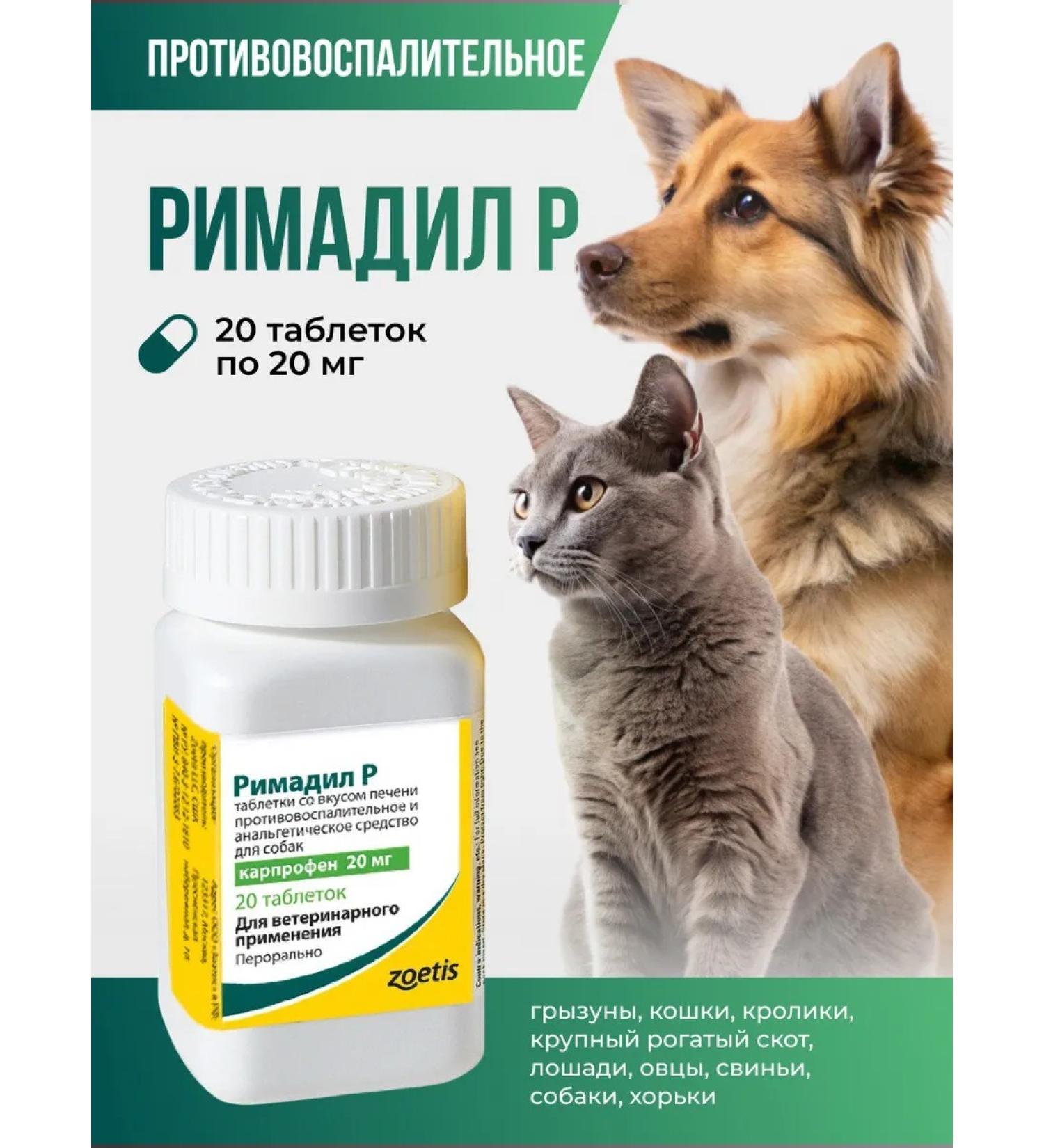 Zoetis Rimadil P 20 mg (1 pack - 20 tablet) - Buy Online on GoSupps.com