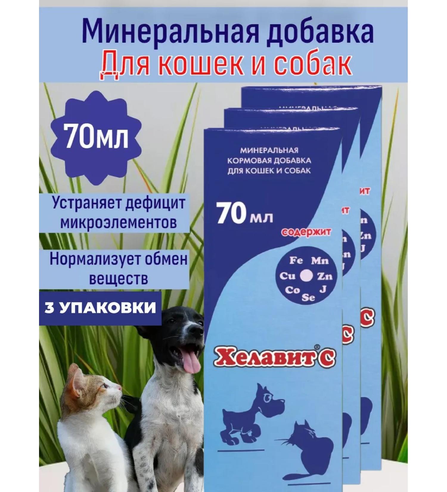 Helavit Vitamins for cats and dogs from wool loss 3UP - Buy Online on GoSupps.com