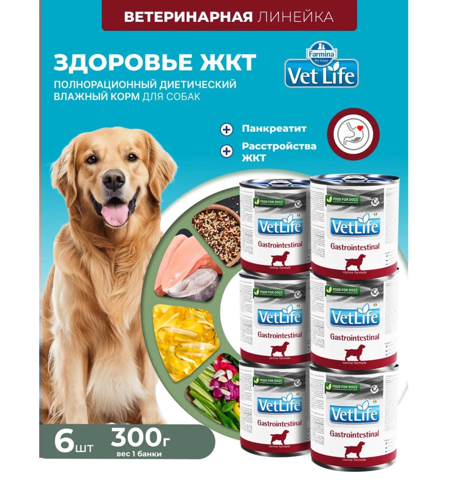 Farmina Therapeutic for the gastrointestinal tract for dogs 300g 6pcs GastroinTestinal Vetlife - Buy Online on GoSupps.com