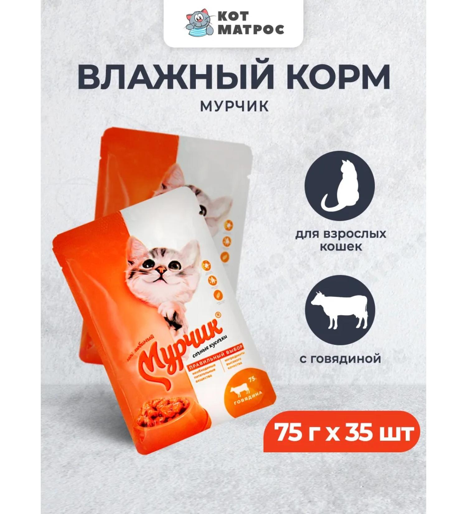 Murchik Wet food for adult cats with beef - 75 g x 35 pcs - Buy Online on GoSupps.com
