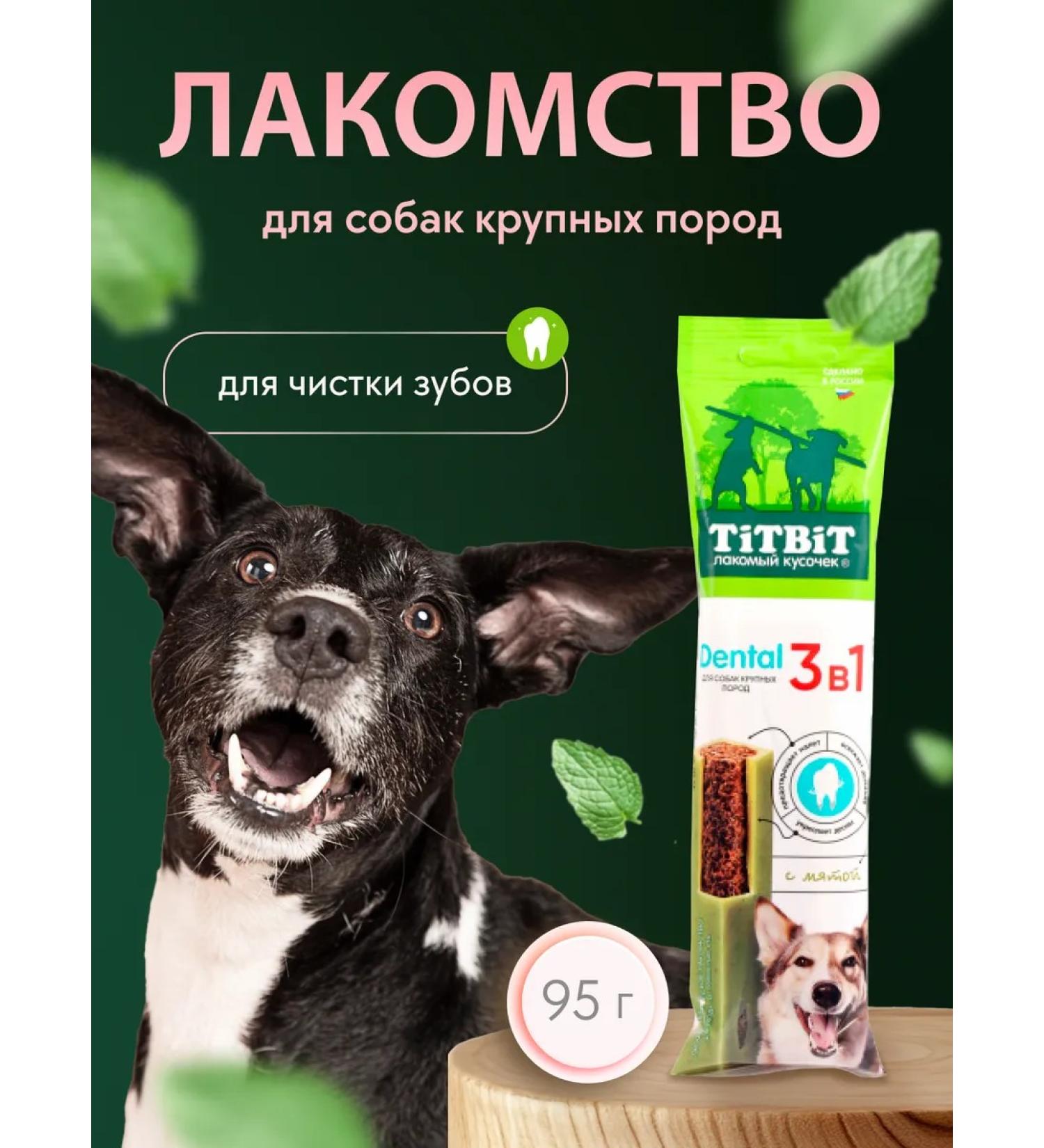 A treat with mint for dogs of large rocks 95 g - Buy Online on GoSupps.com