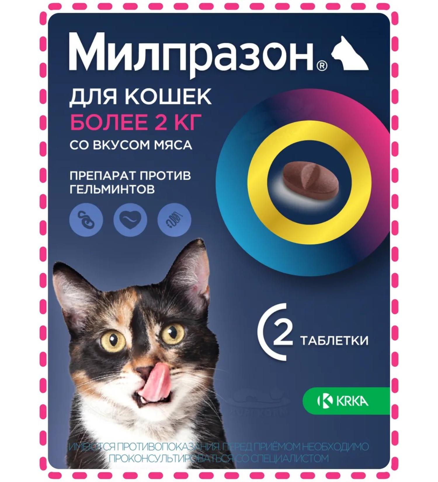 KRKA Milprazone tablets from helminths for cats more than 2 kg 16 mg N2