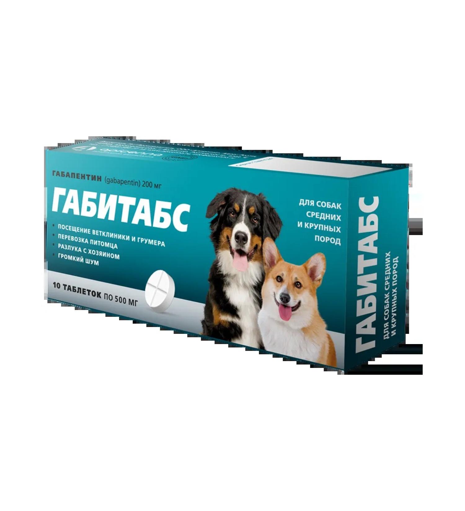 Apicenna Gabitabs for dogs of medium and large breeds 200 mg 10 tab - Buy Online on GoSupps.com