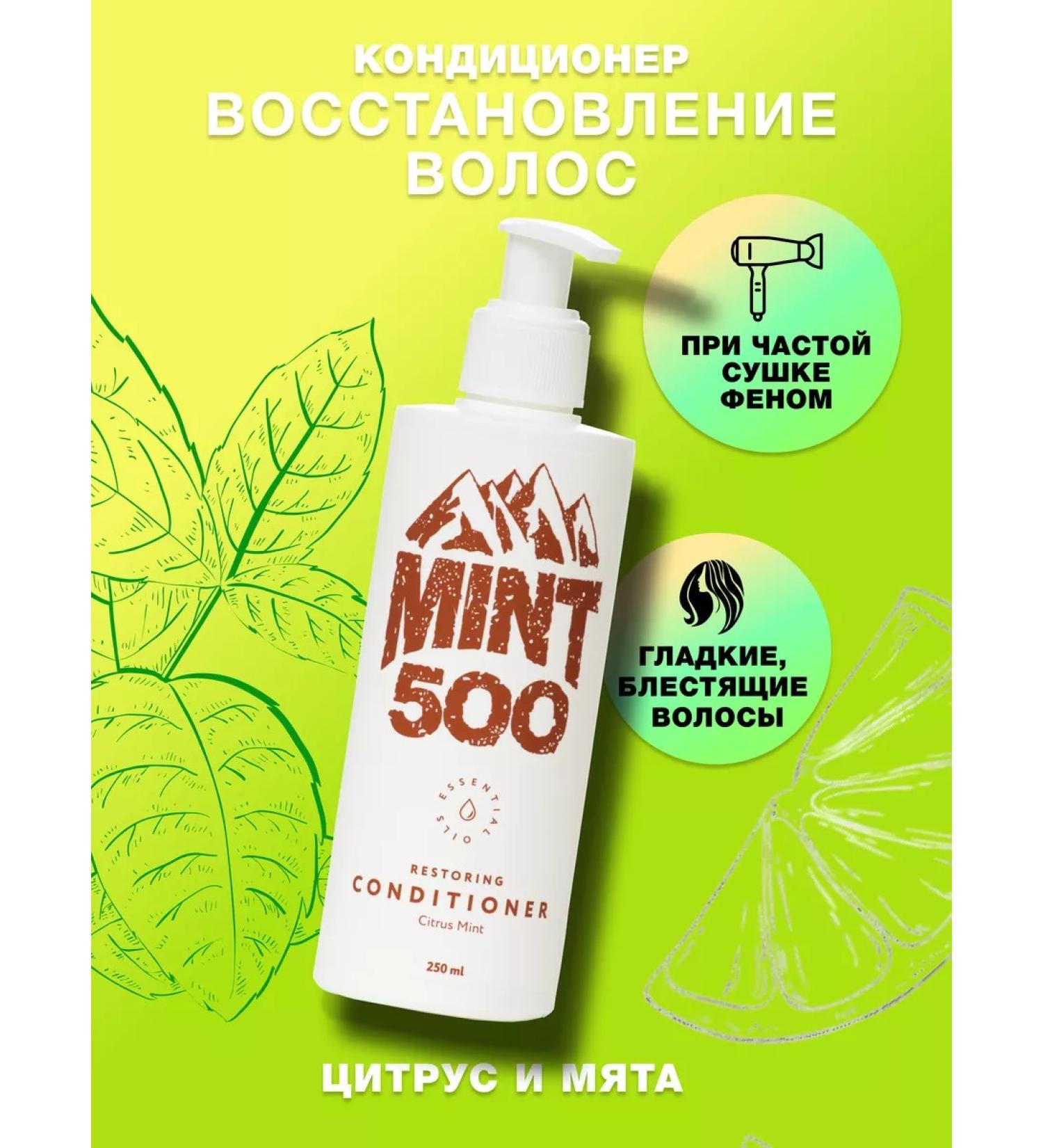 Mint500 Restoring hair air conditioner 250 ml - Buy Online on GoSupps.com