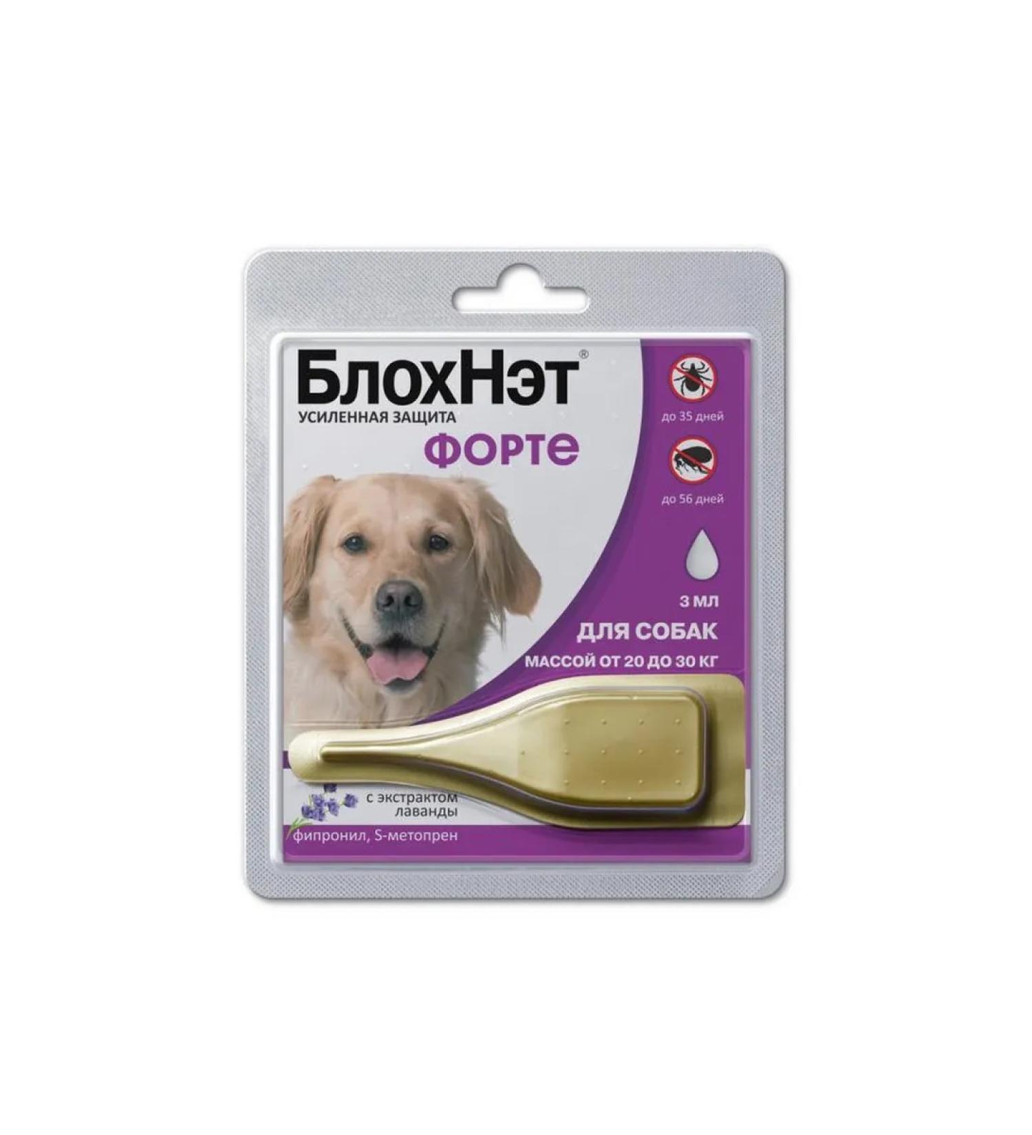 ASTRAPHARM Blochnet Forte Drops from Bloch D -Sobk 20 to 30 kg 3 ml