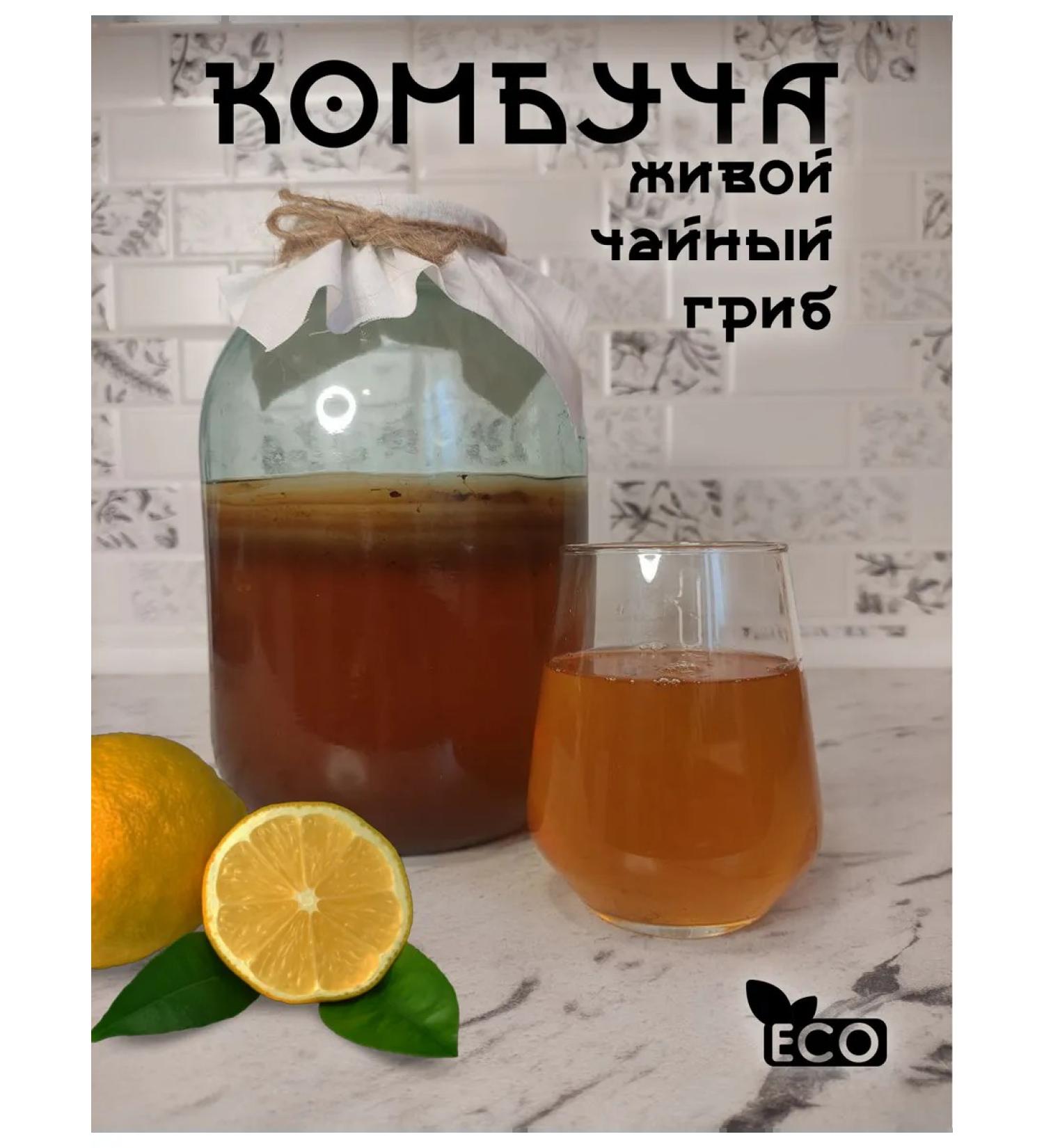 Tea mushroom of a living comable - Buy Online on GoSupps.com