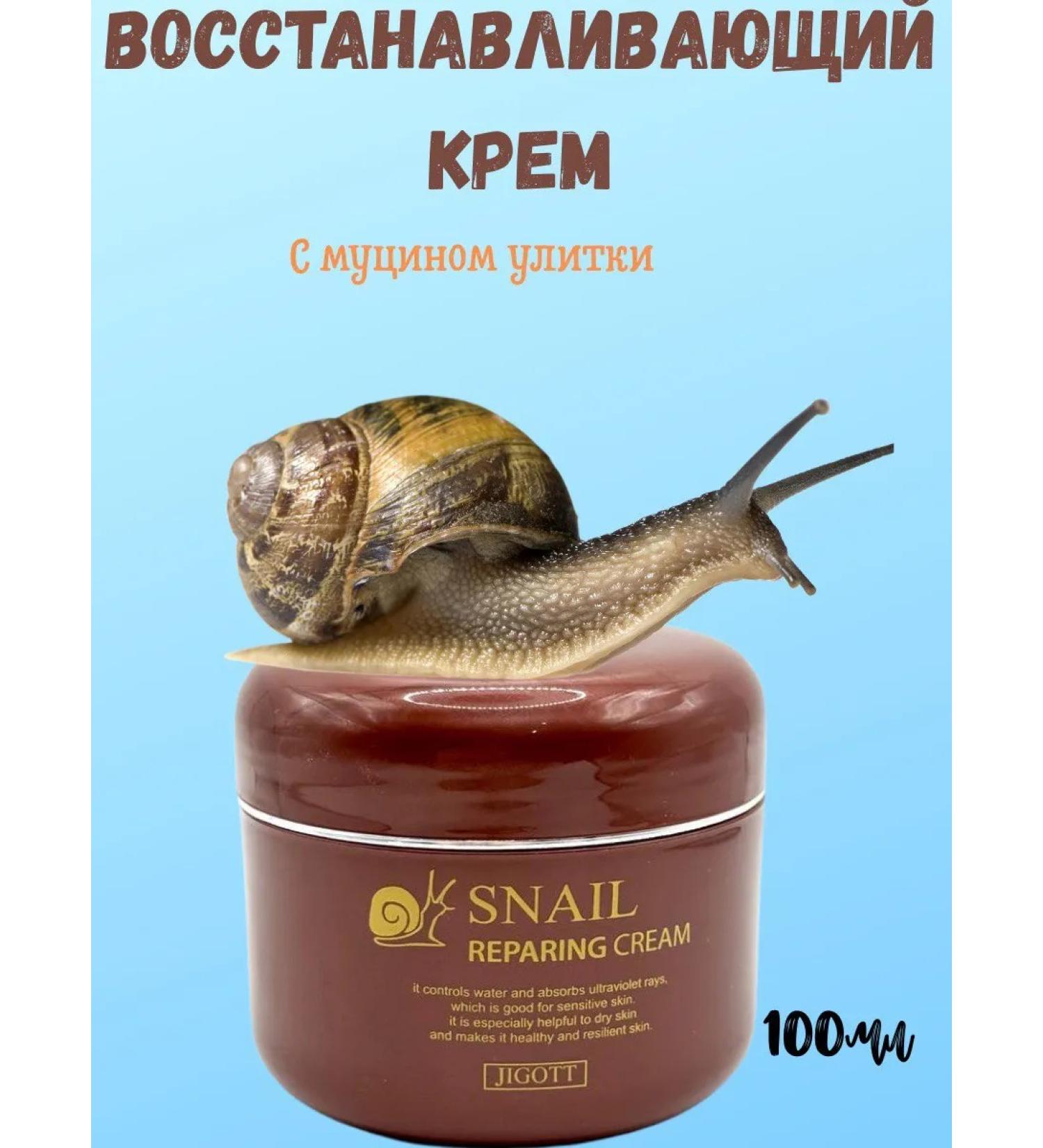 Camillot Face cream with mucin from a snail from wrinkles - Buy Online on GoSupps.com