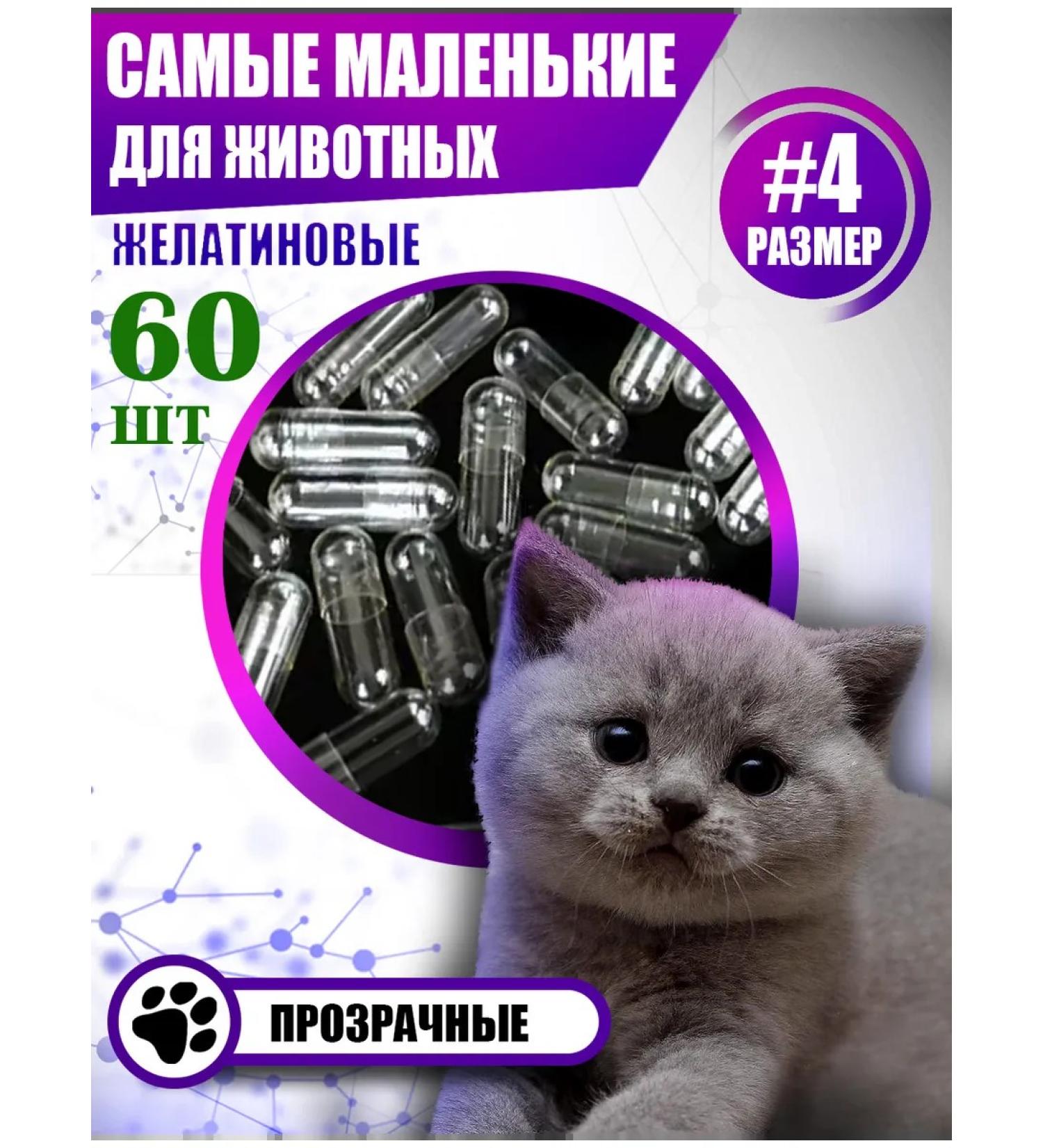 WillProf Divinic capsules #4 60pcs - Buy Online on GoSupps.com