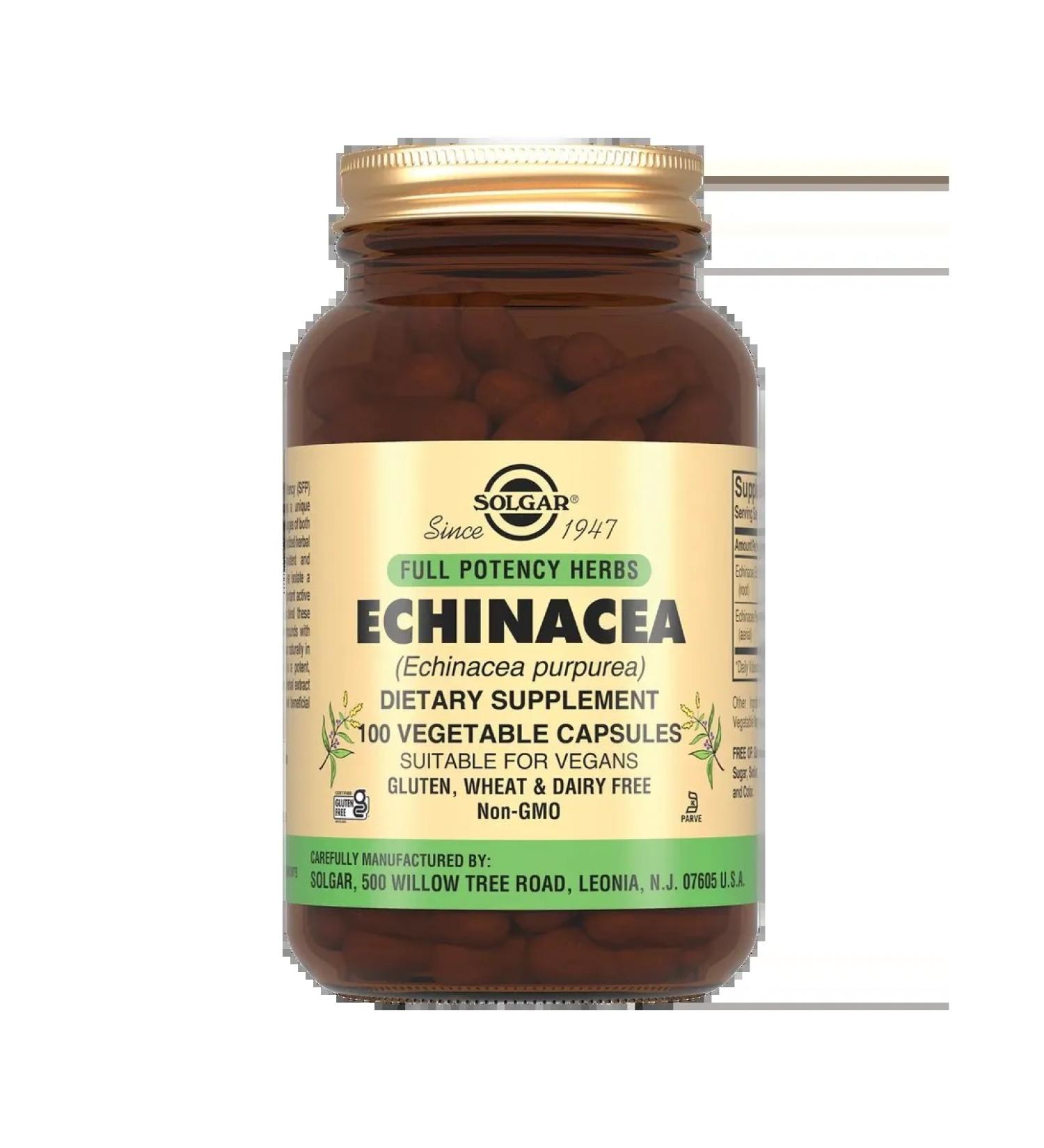 SOLGAR Echinacea Extract of purple 100 pcs - Buy Online on GoSupps.com