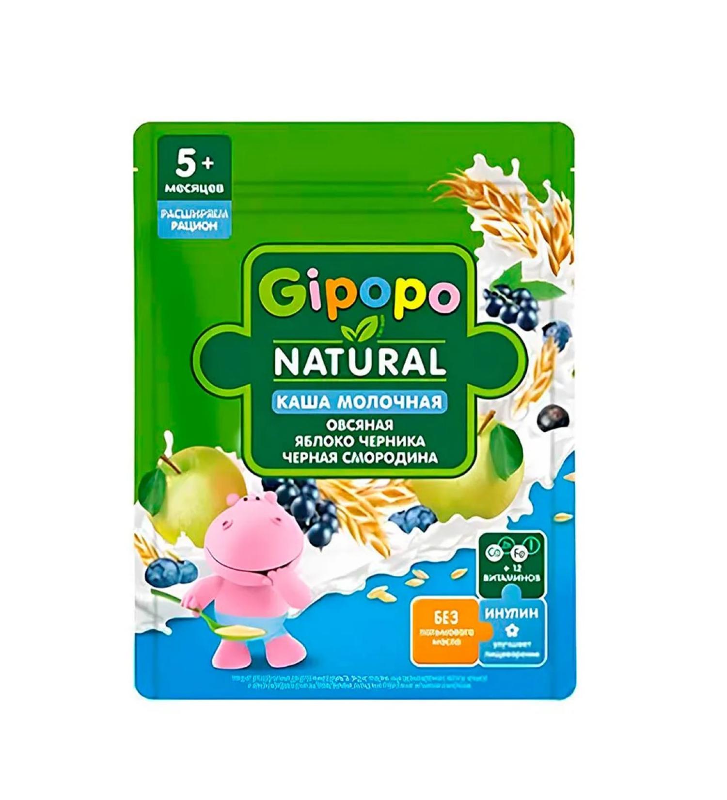 GIPOPO Porridge milk oatmeal apple-black-black-somorodin 5m+ - Buy Online on GoSupps.com