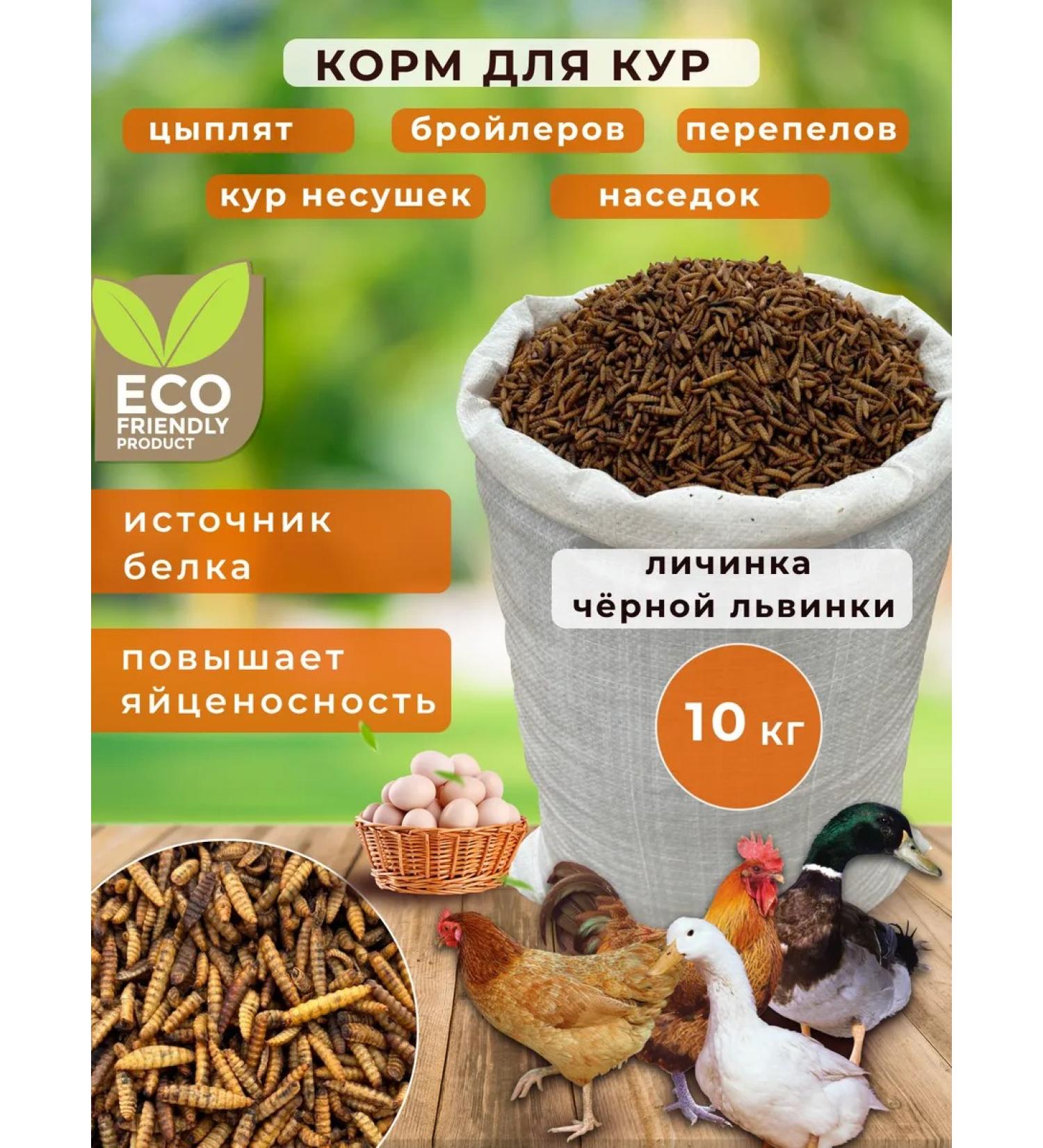 Superzu Feed for chickens of laying ovision chickens 10kg - Buy Online on GoSupps.com