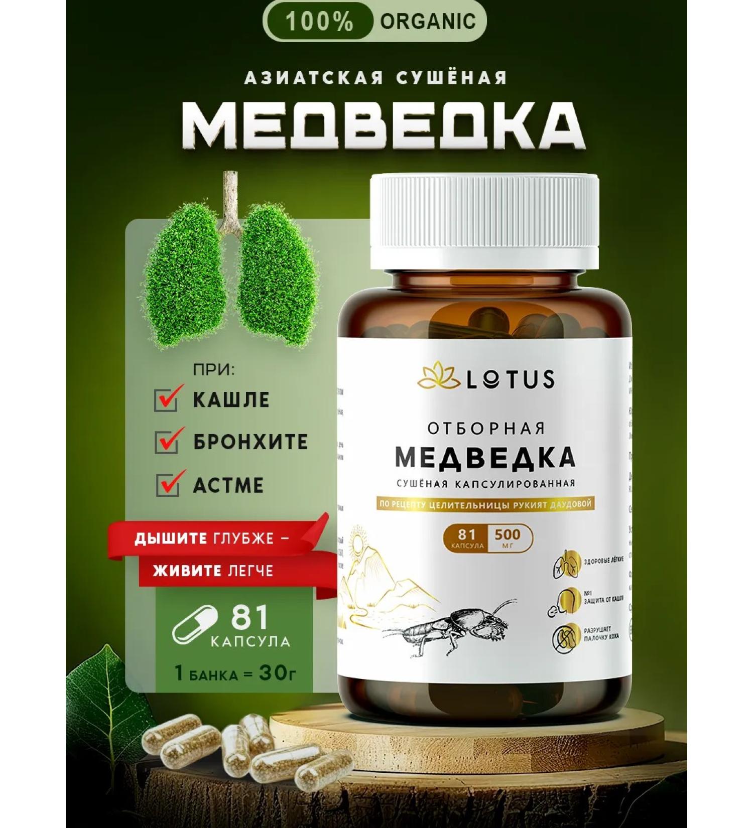 Doctor's Shop Bear dried from cough for immunity - Buy Online on GoSupps.com