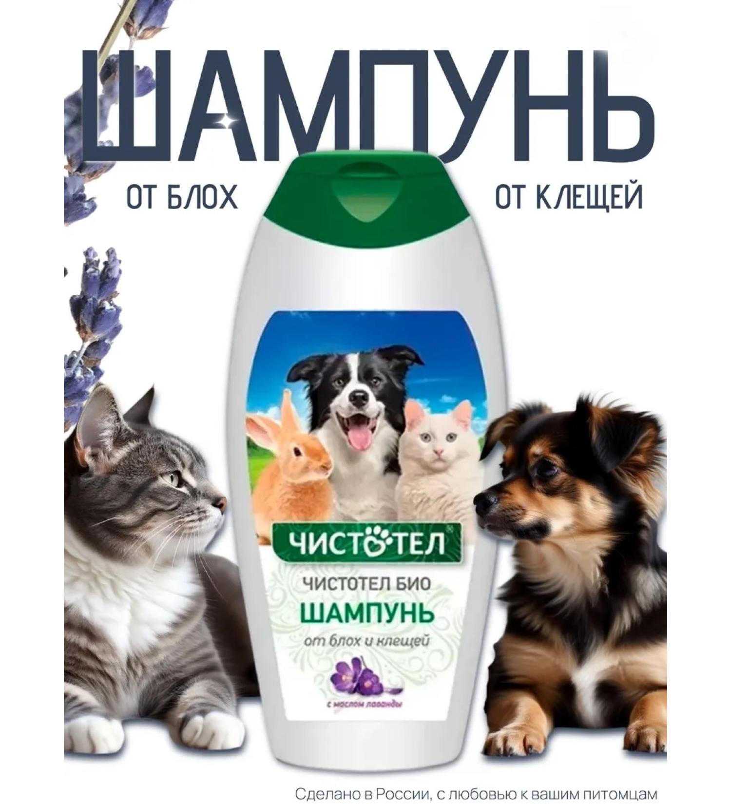 Celandine Shampoo for dogs and cats 180 ml