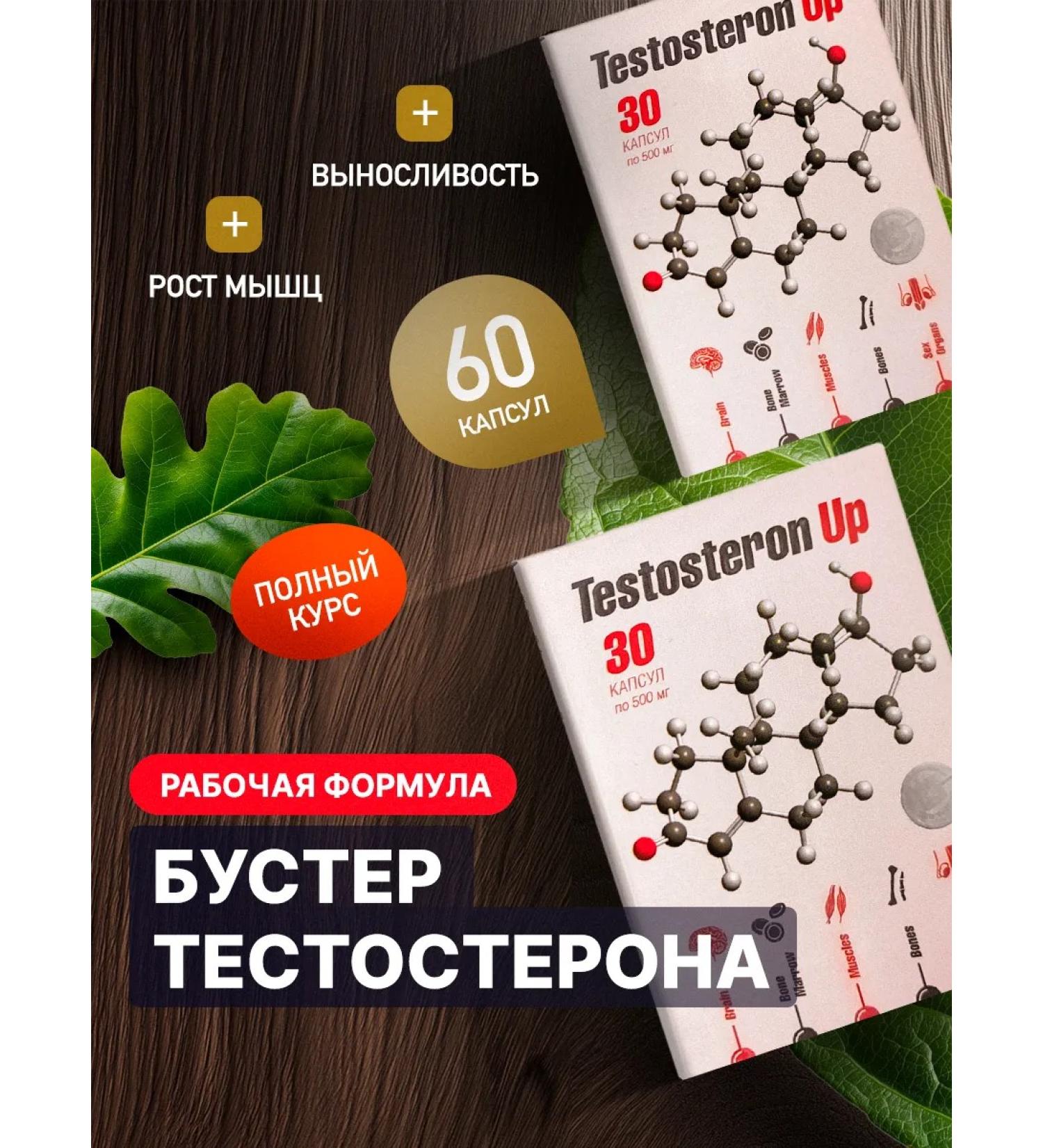 Sashera Testosterone for men of sports in capsules 2 pcs - Buy Online on GoSupps.com