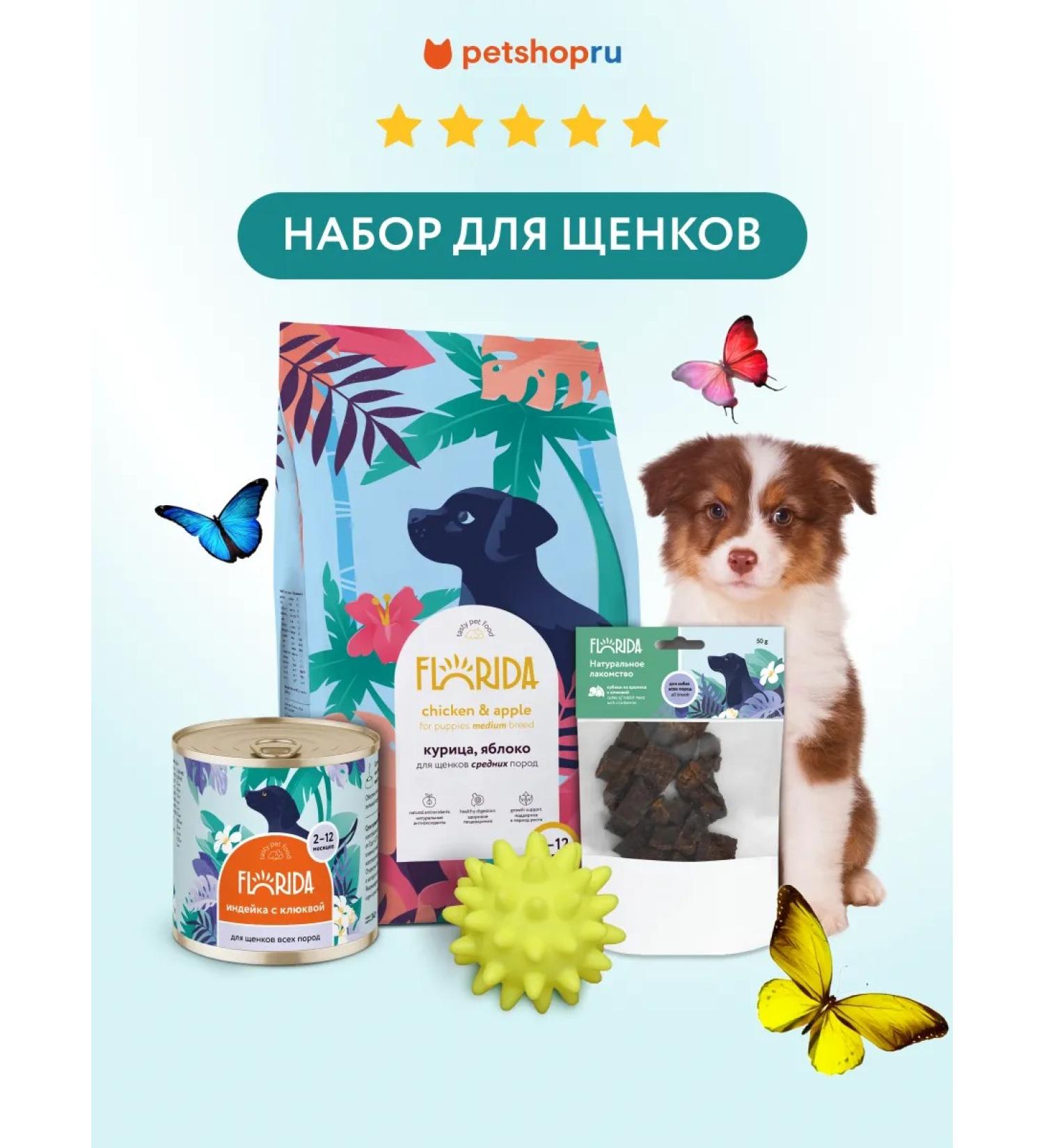 Florida Set for puppies dry food canned food delicacy and toy - Buy Online on GoSupps.com
