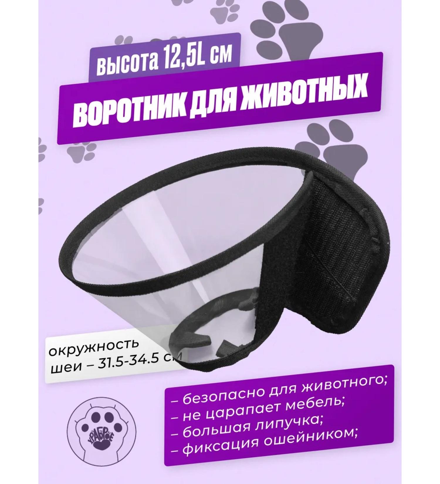 Brave heart Collar for cats and dogs on the neck - Buy Online on GoSupps.com