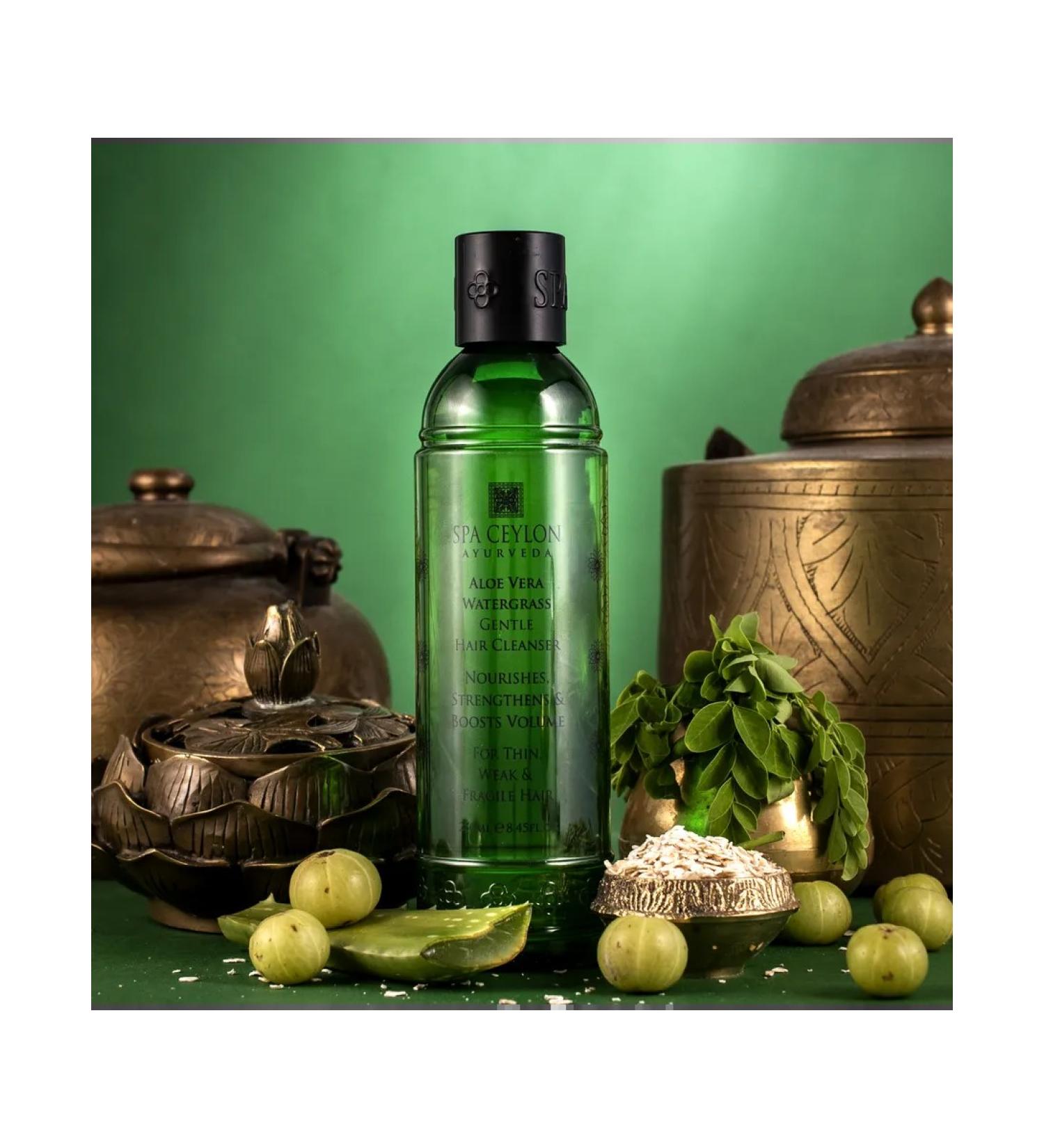 SPA CEYLON Women's hair shampoo "Aloe Vera and Algae" 250 ml - Buy Online on GoSupps.com