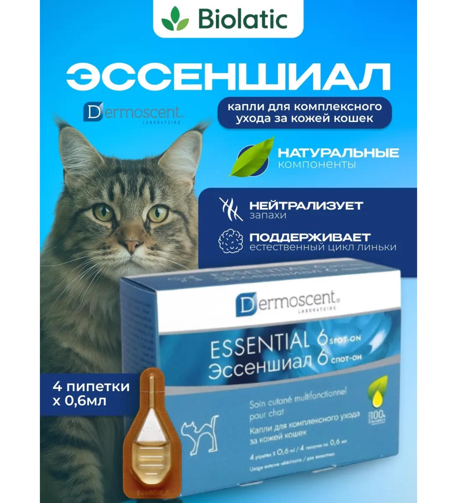Dermoscent Drops for leather care of cats 6 spot-on Essenshial 4 PIP - Buy Online on GoSupps.com