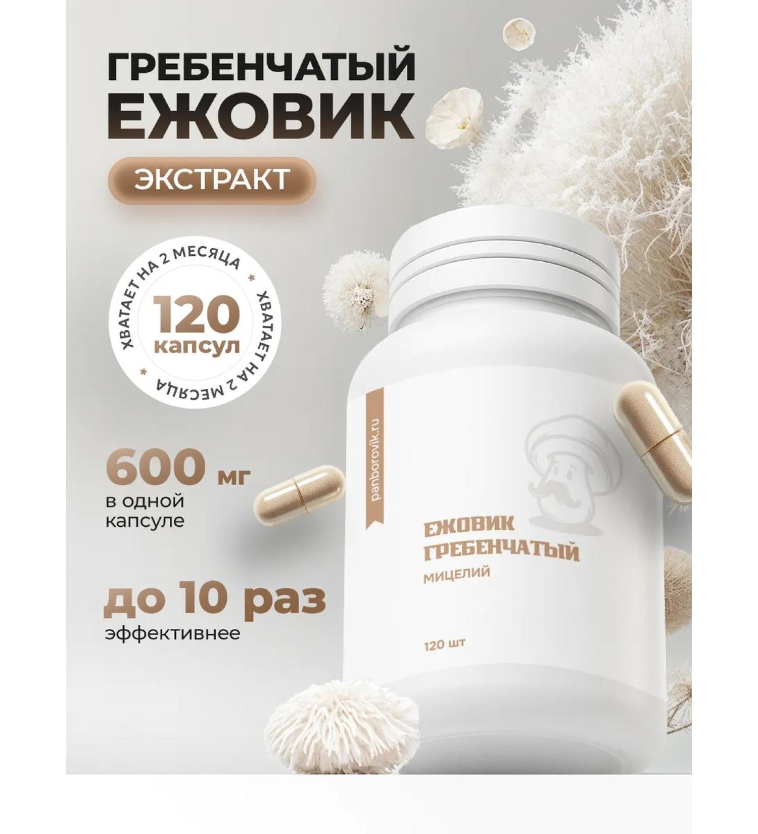 Mr Borovik Grebenchate hedgehog extract 120 capsules 600 mg - Buy Online on GoSupps.com