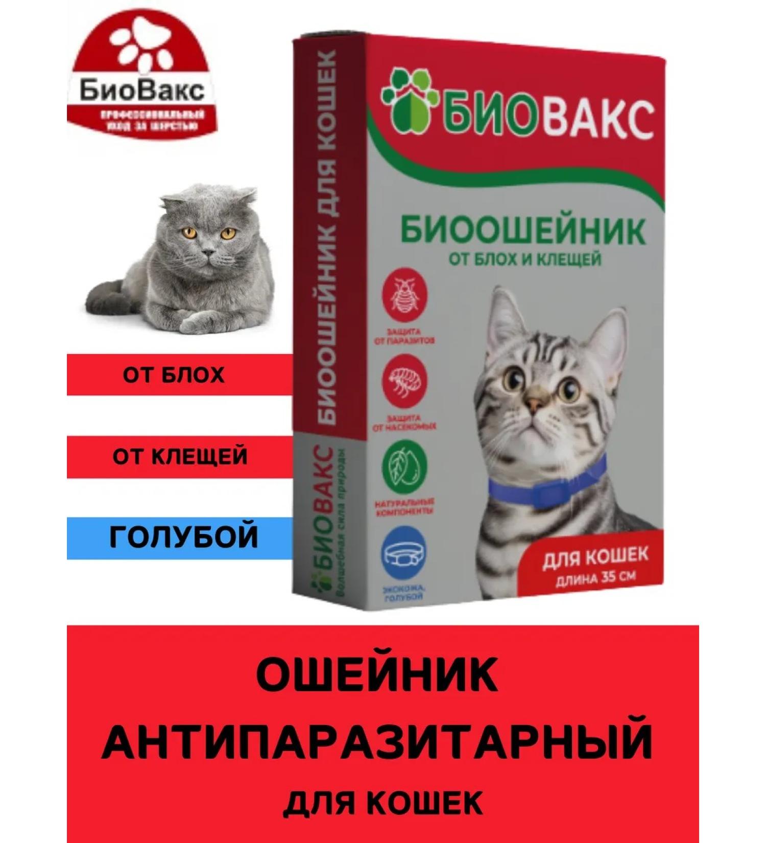 BioVax Antiparasitic collar for cats 35 cm blue - Buy Online on GoSupps.com