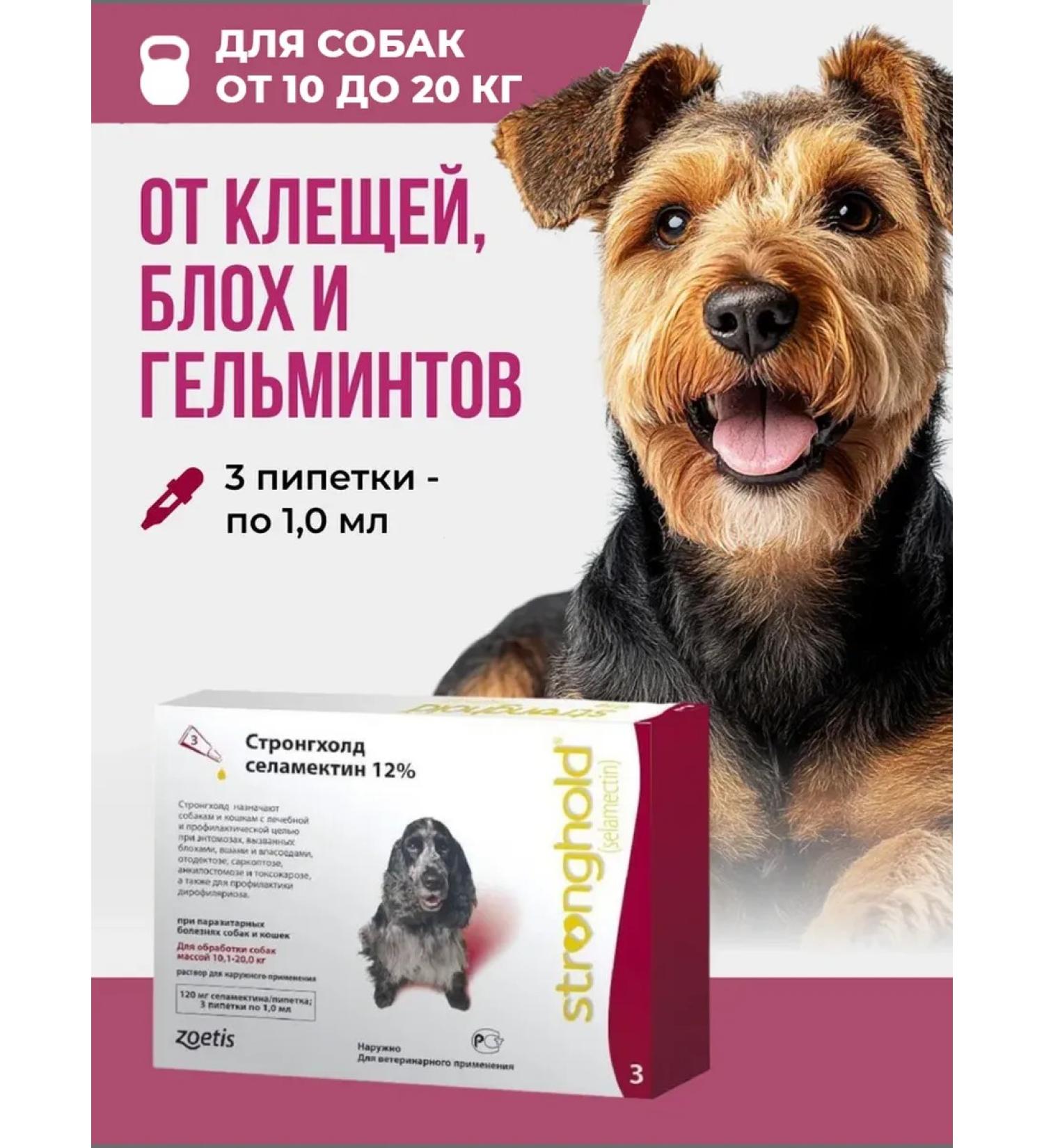 Zoetis Stronghold 12% 1 ml*3 Pip for dogs 10-20 kg (120 mg) - Buy Online on GoSupps.com