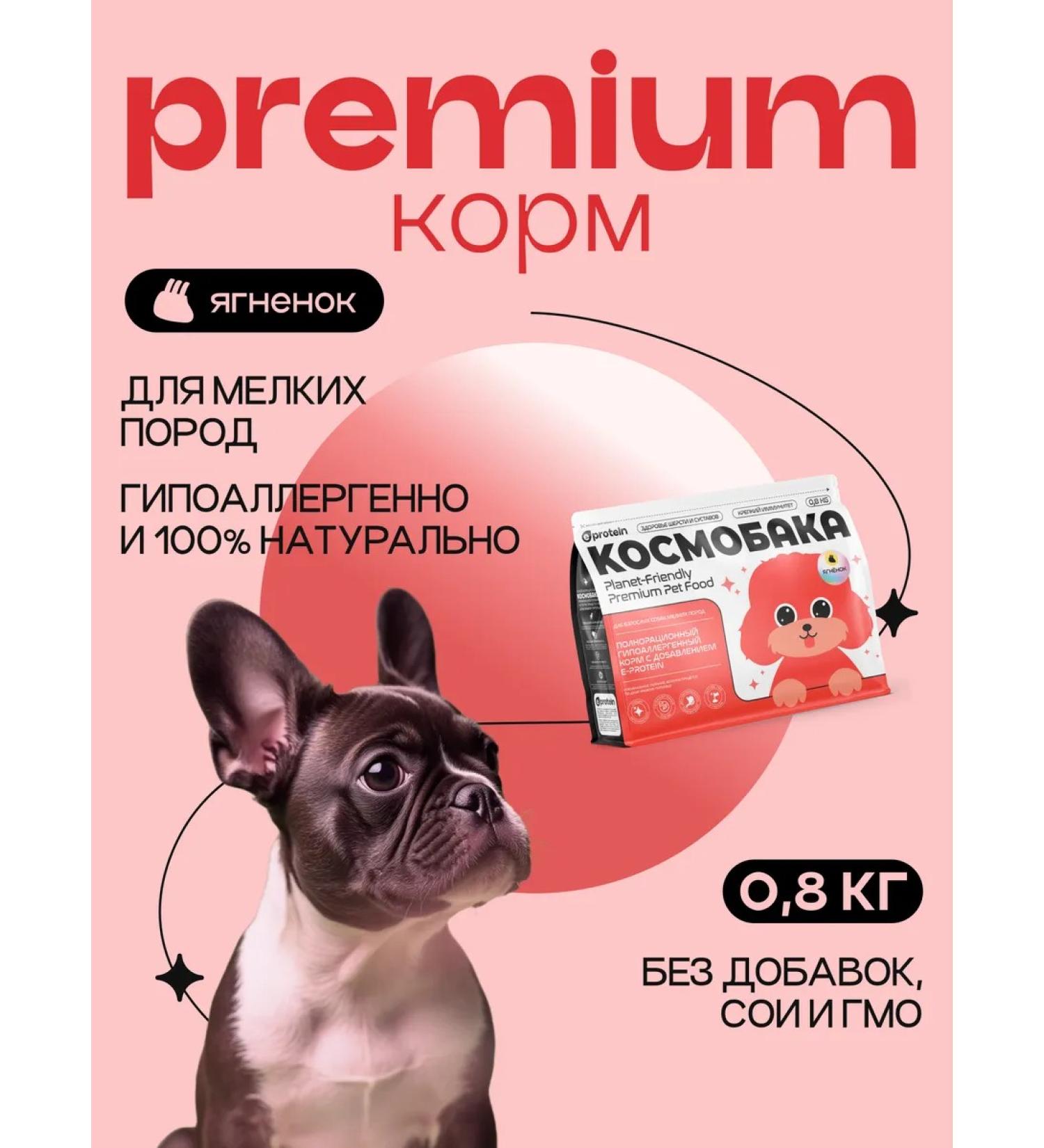 SPACEBAK Feed for dogs dry 0.8 kg for small breeds with lamb - Buy Online on GoSupps.com