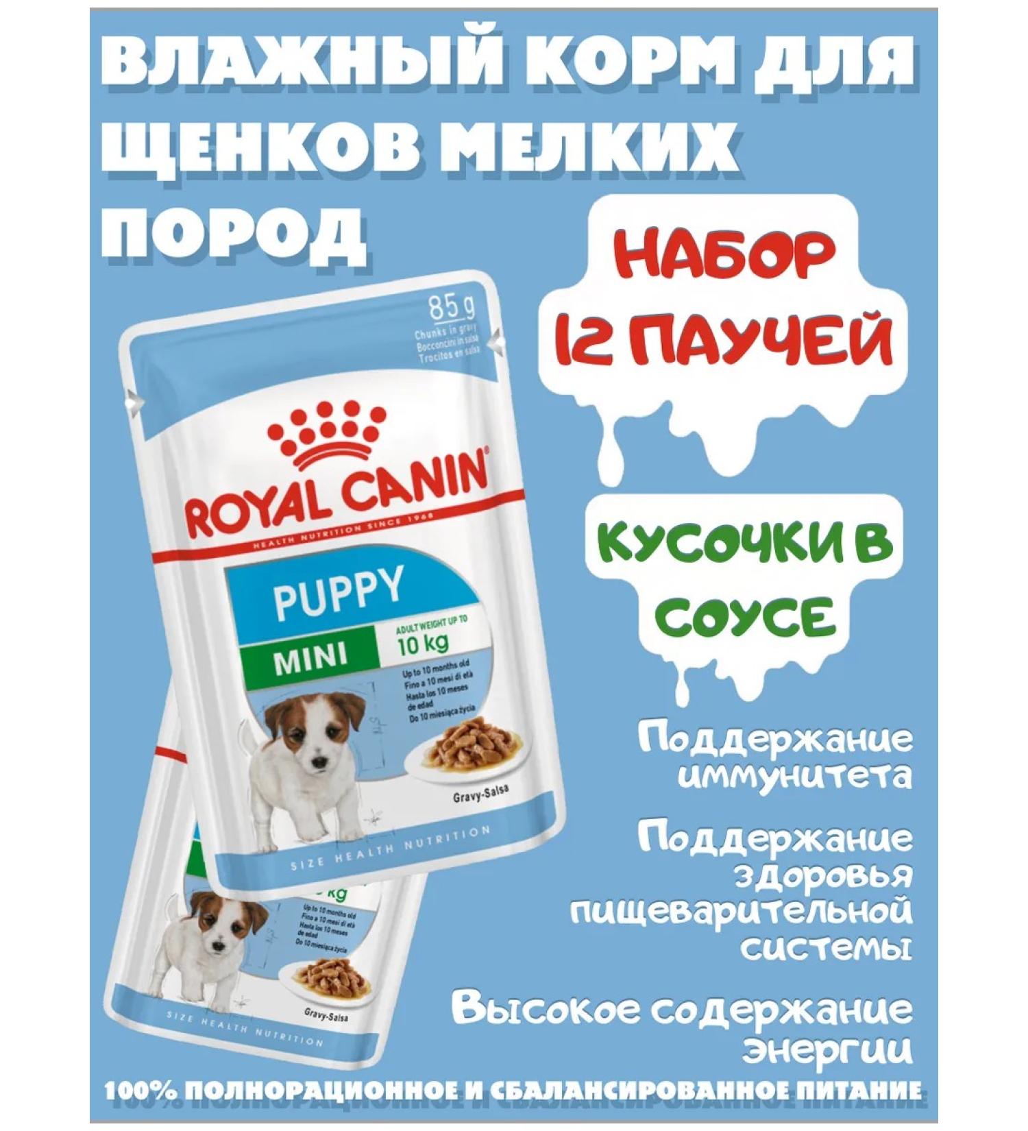 ROYAL CANIN Wet feed for small species of 85 g of 12pcs - Buy Online on GoSupps.com
