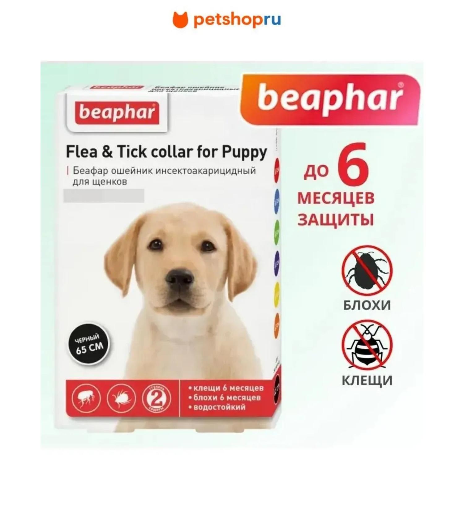 beaphar Collar for puppies from fleas black 65 cm - Buy Online on GoSupps.com