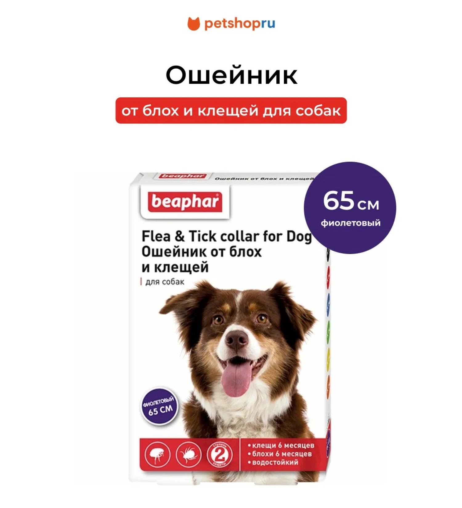 beaphar A collar from fleas and ticks for dogs purple 65 cm - Buy Online on GoSupps.com