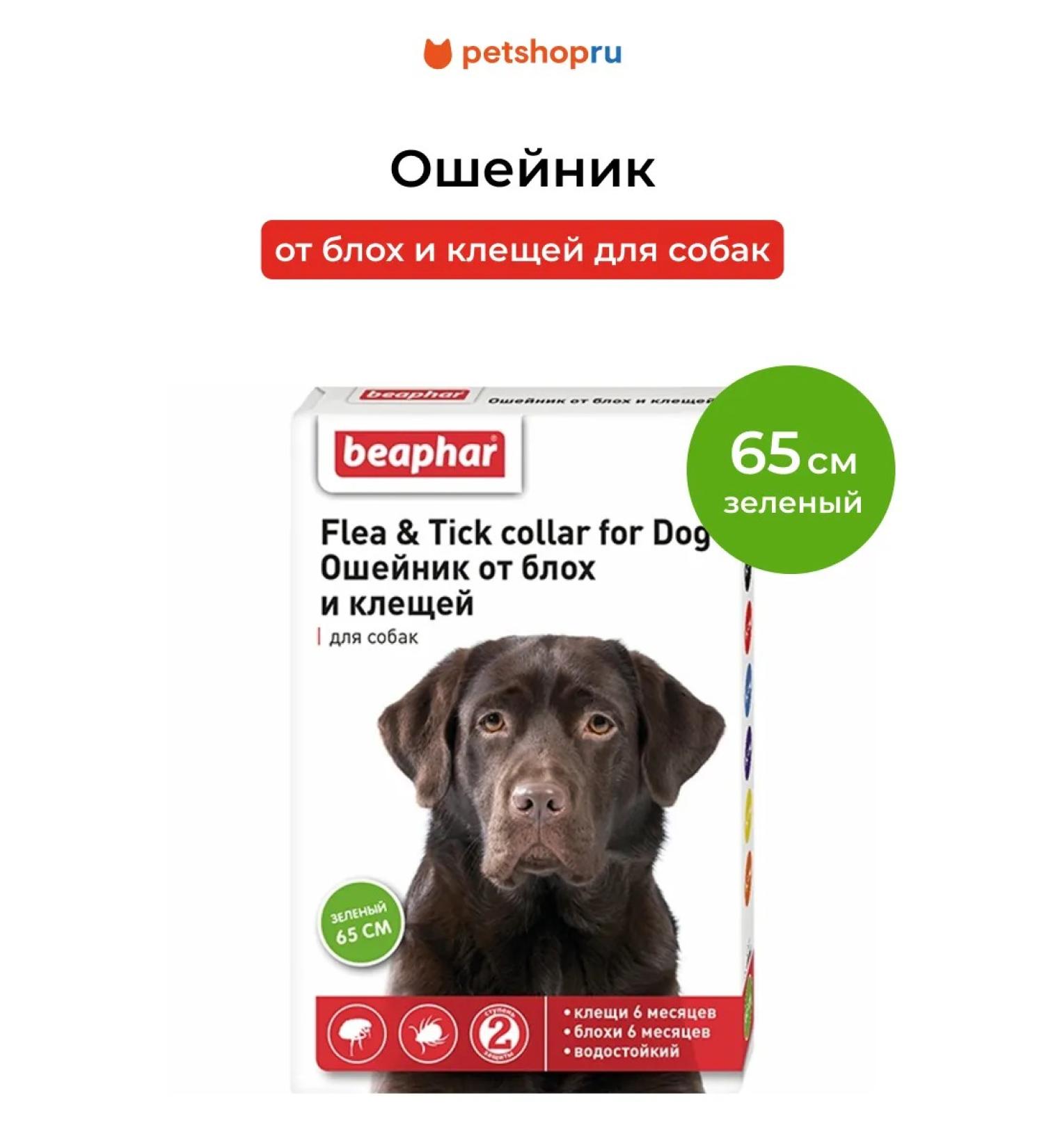 beaphar Collar from fleas and ticks for dogs green 65 cm - Buy Online on GoSupps.com
