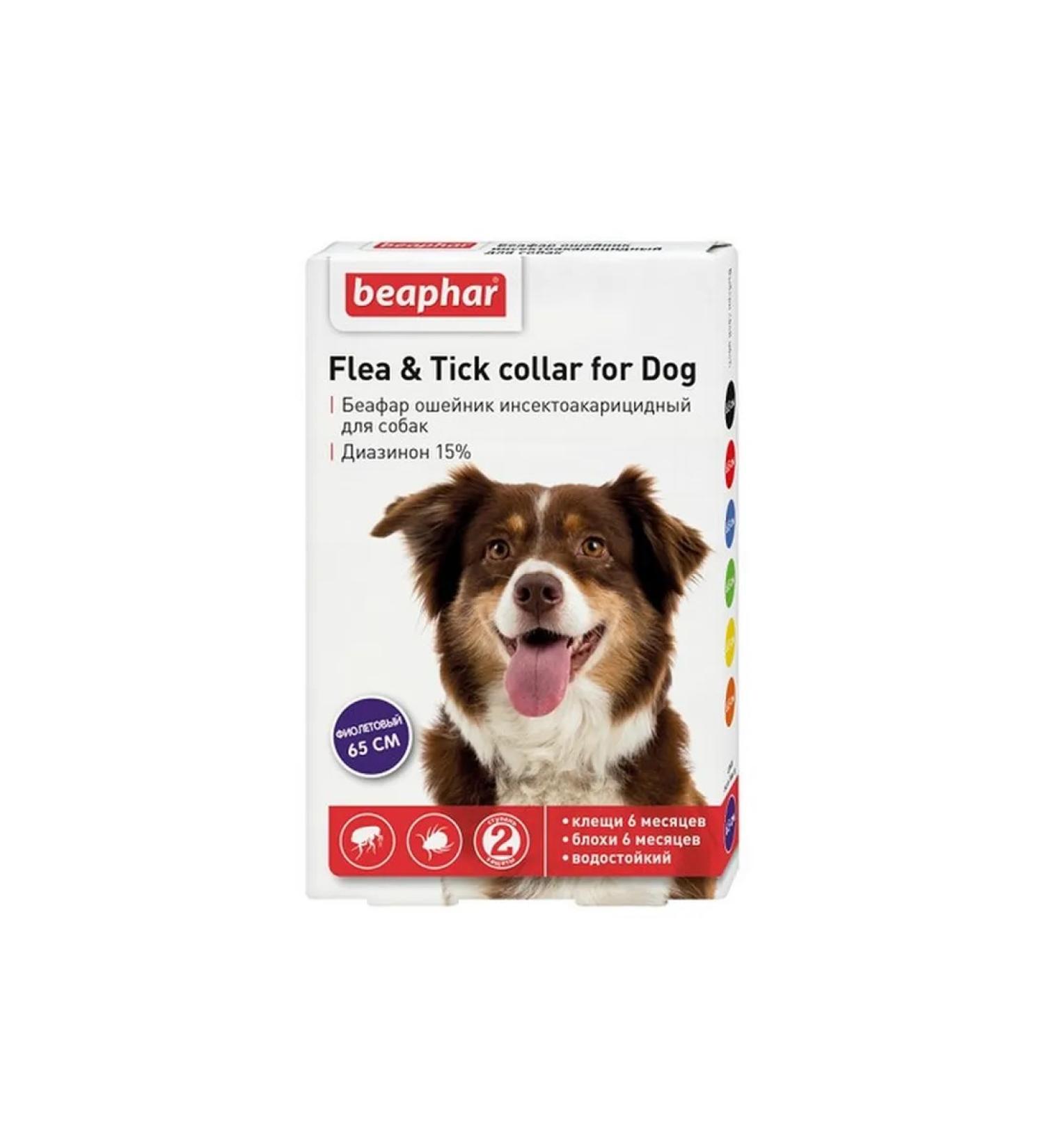 beaphar Belch collar for dogs 65 cm purple