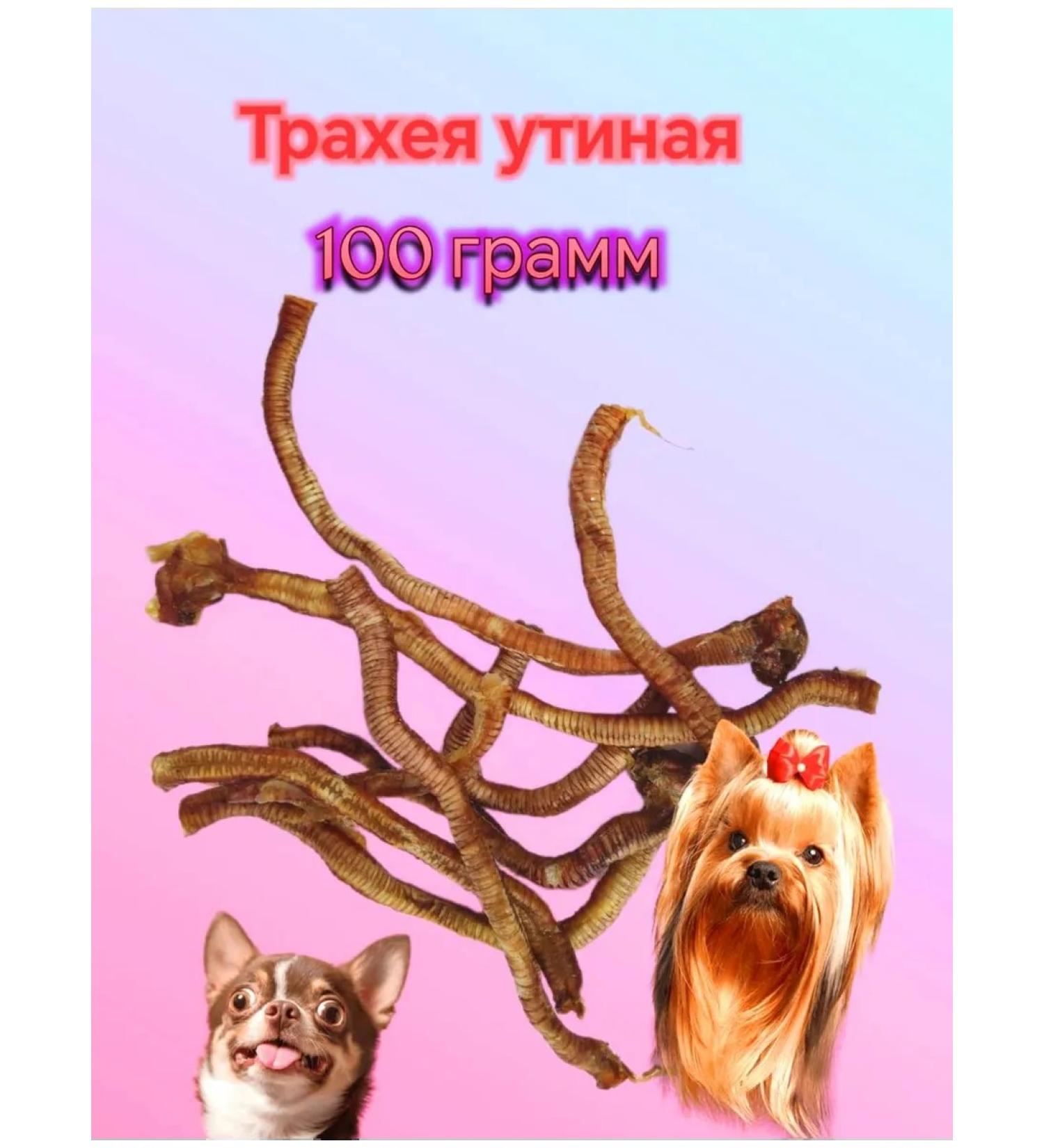 ZooCasket Treat trachee duck 100 grams - Buy Online on GoSupps.com