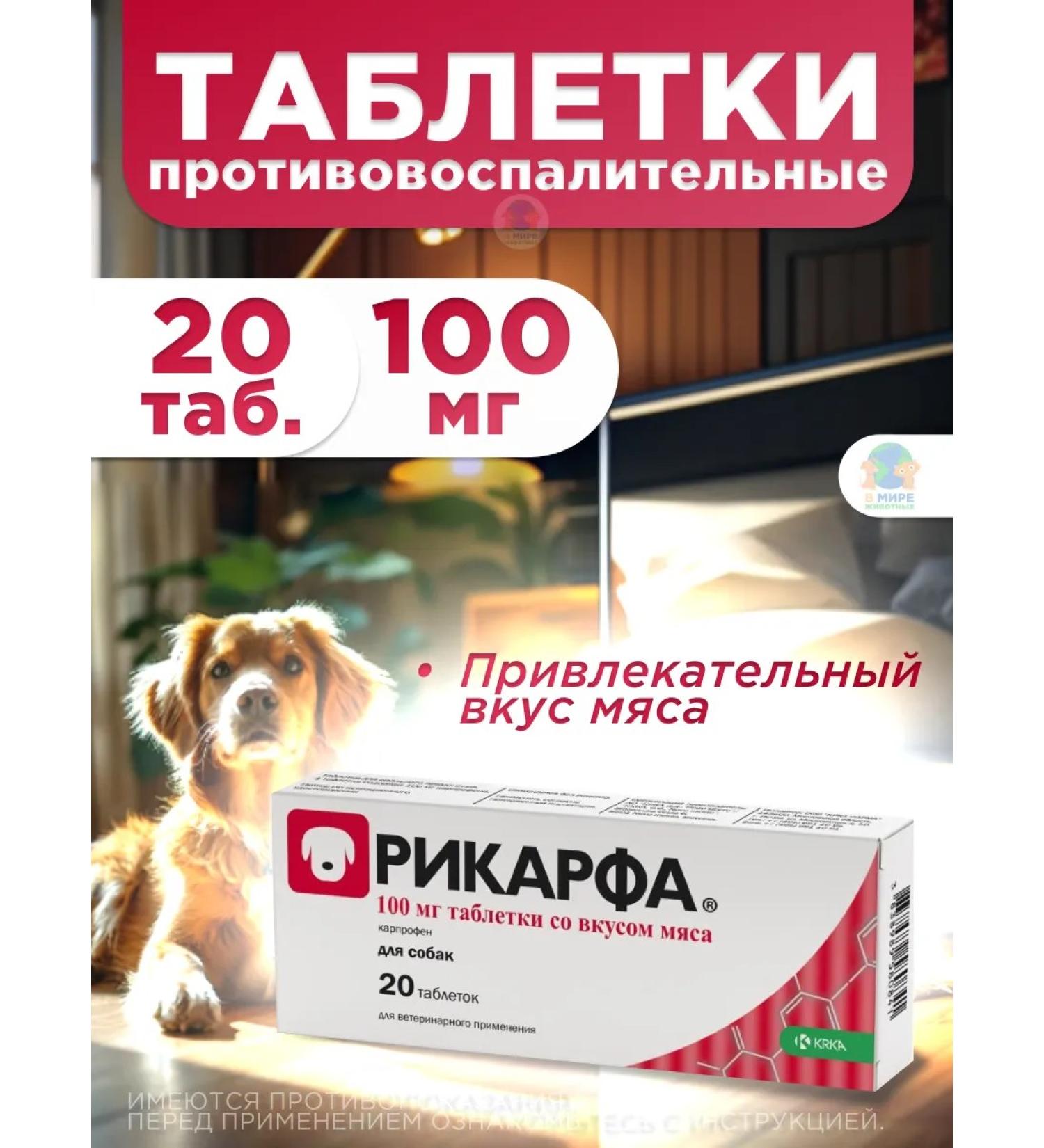 KRKA Ricard 100 mg tablets for the treatment of ode in dogs - Buy Online on GoSupps.com