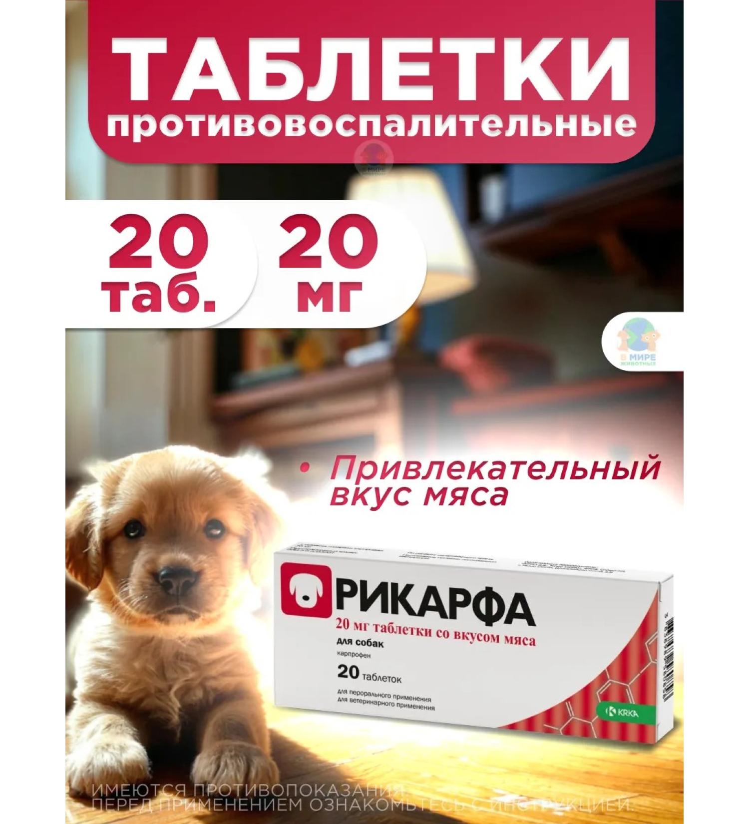 KRKA RICARFA 20 mg tablets for the treatment of ode in dogs - Buy Online on GoSupps.com