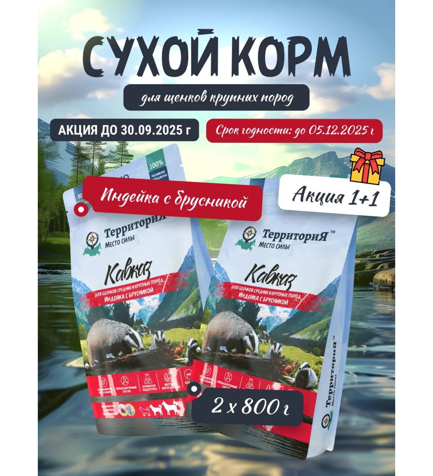 Territory Dry food for puppies and pregnant dogs of large breeds - Buy Online on GoSupps.com