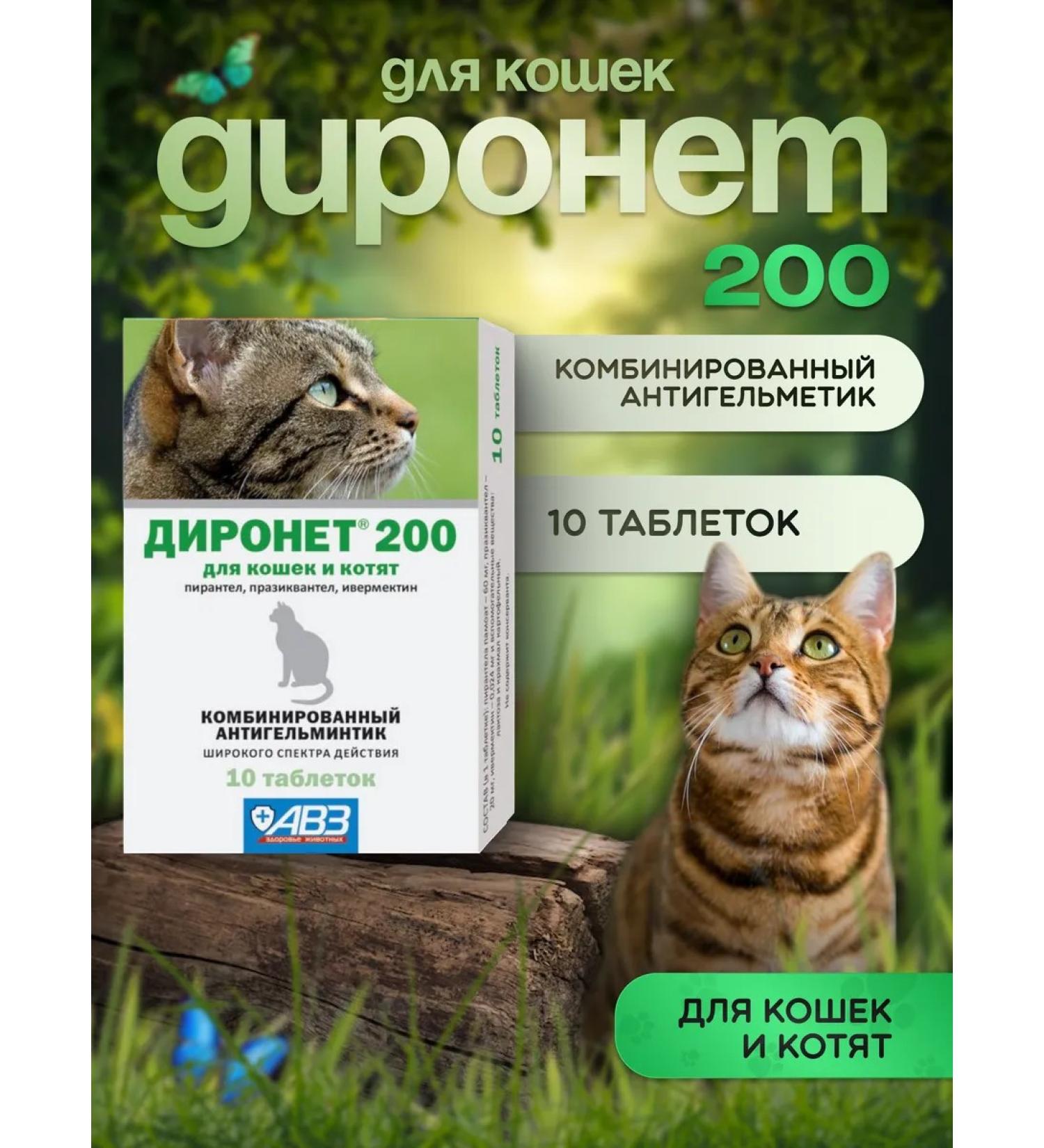AVZ Dironet 200 anthelmintic for cats 10 tablets - Buy Online on GoSupps.com
