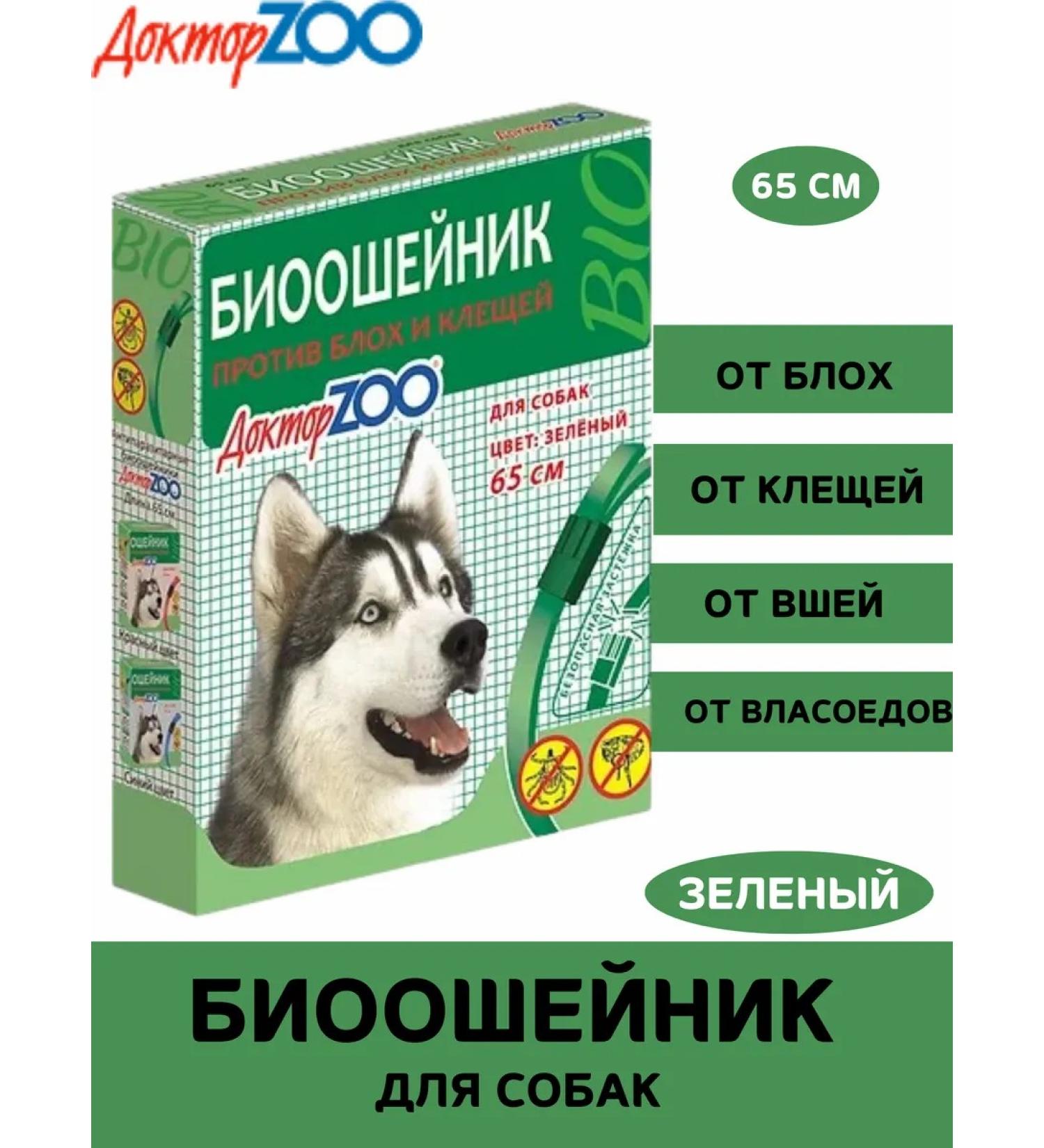 Doctor Zoo Dog bio -haired 65 cm green - Buy Online on GoSupps.com